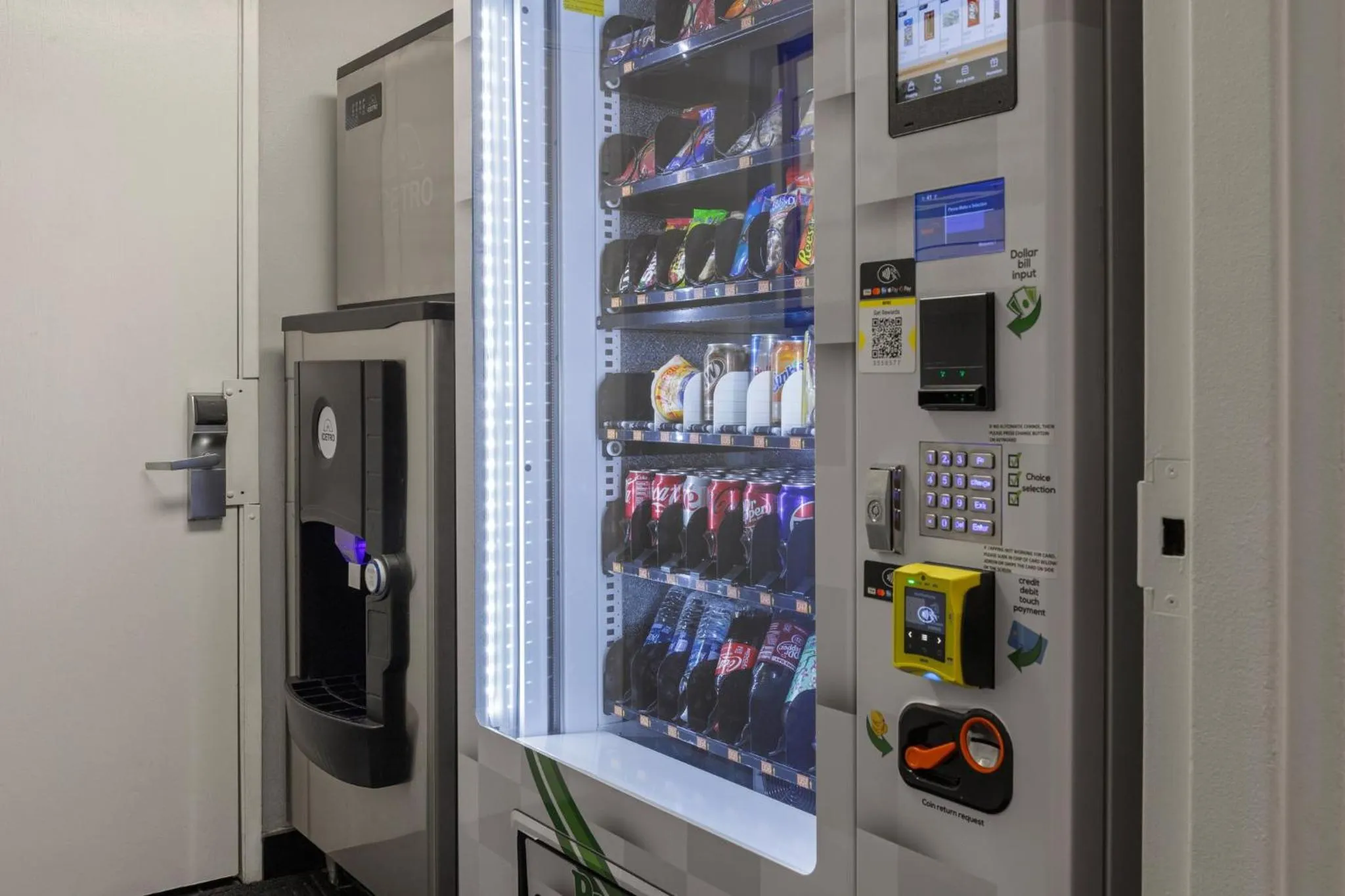 Other in Peacock Suites