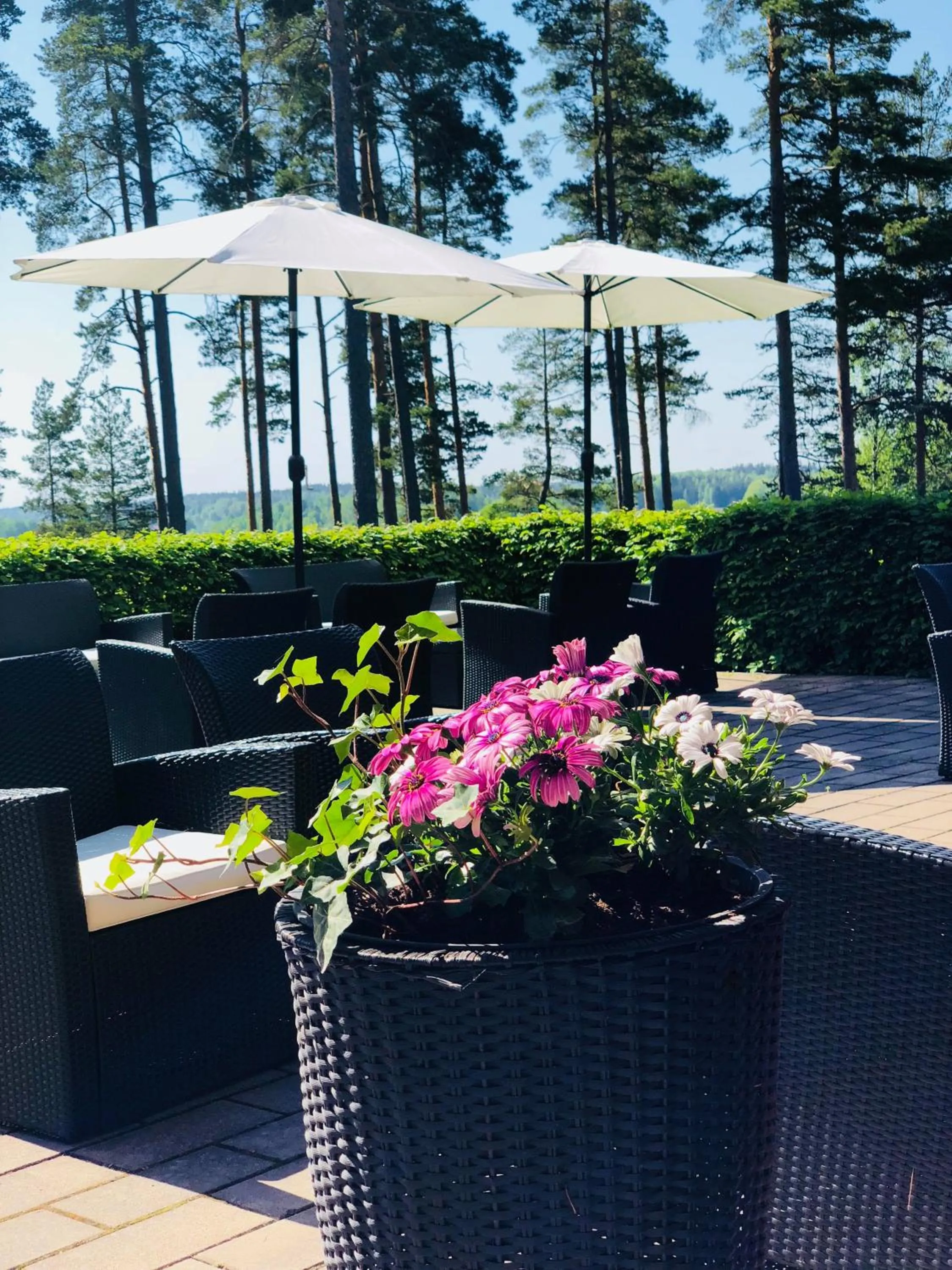 Patio in Hotel Malmkoping, BW Signature Collection