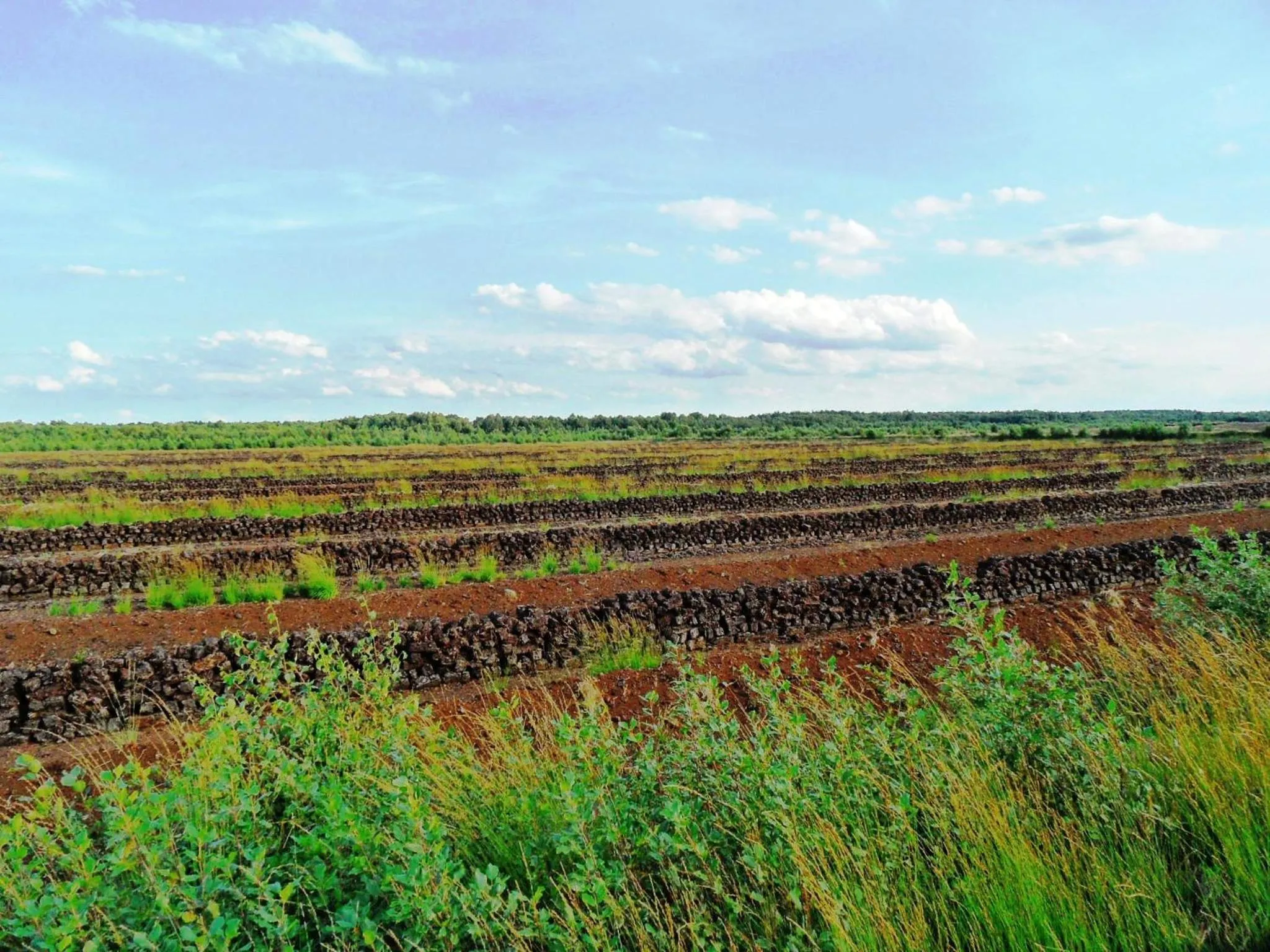 Natural landscape in Ferienwohnung Uchte
