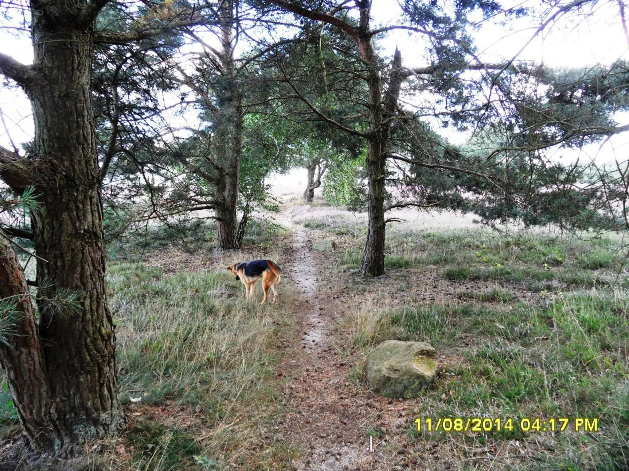 Hiking in Ferienwohnung Uchte