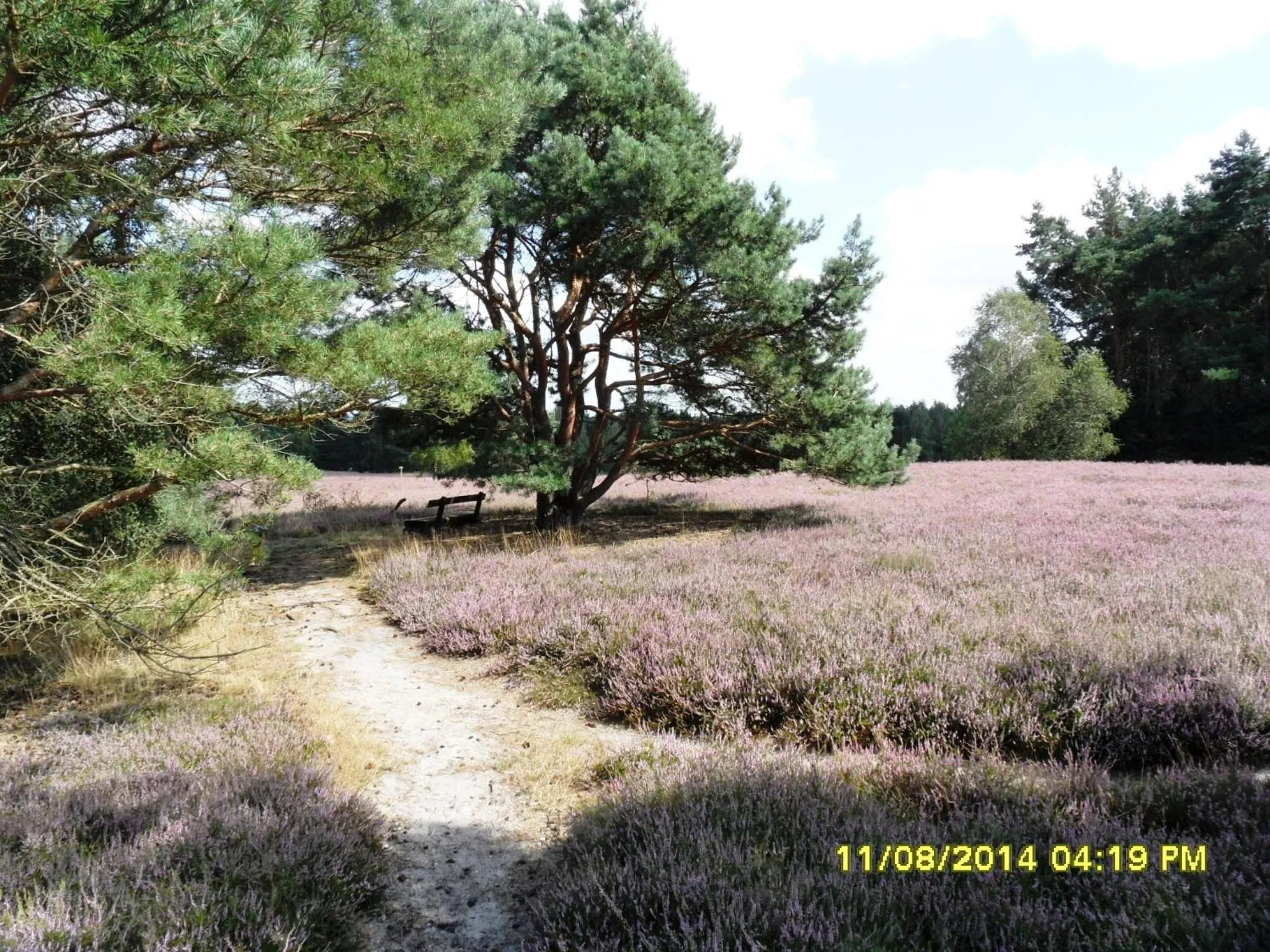 Hiking in Ferienwohnung Uchte