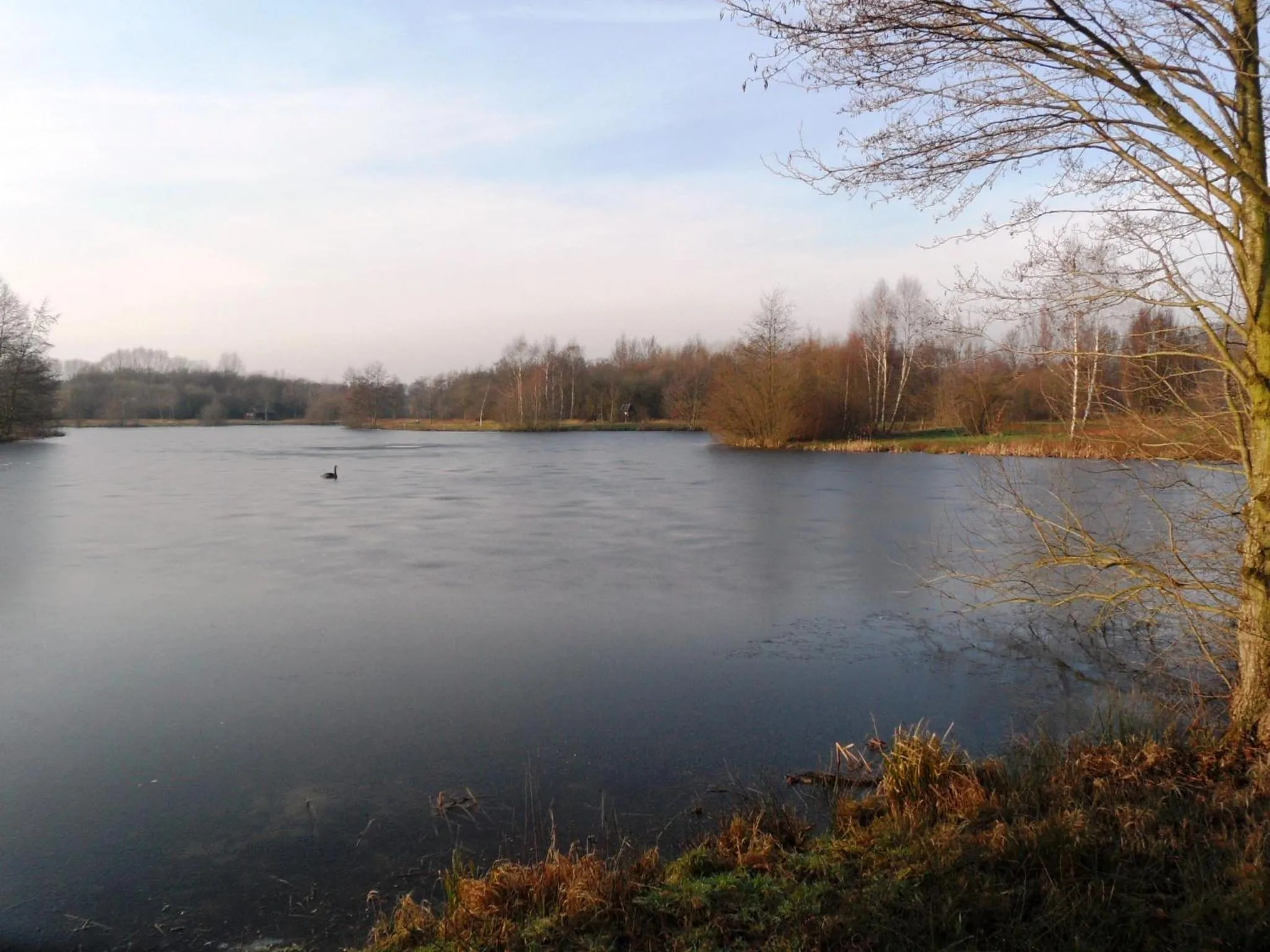 Fishing in Ferienwohnung Uchte