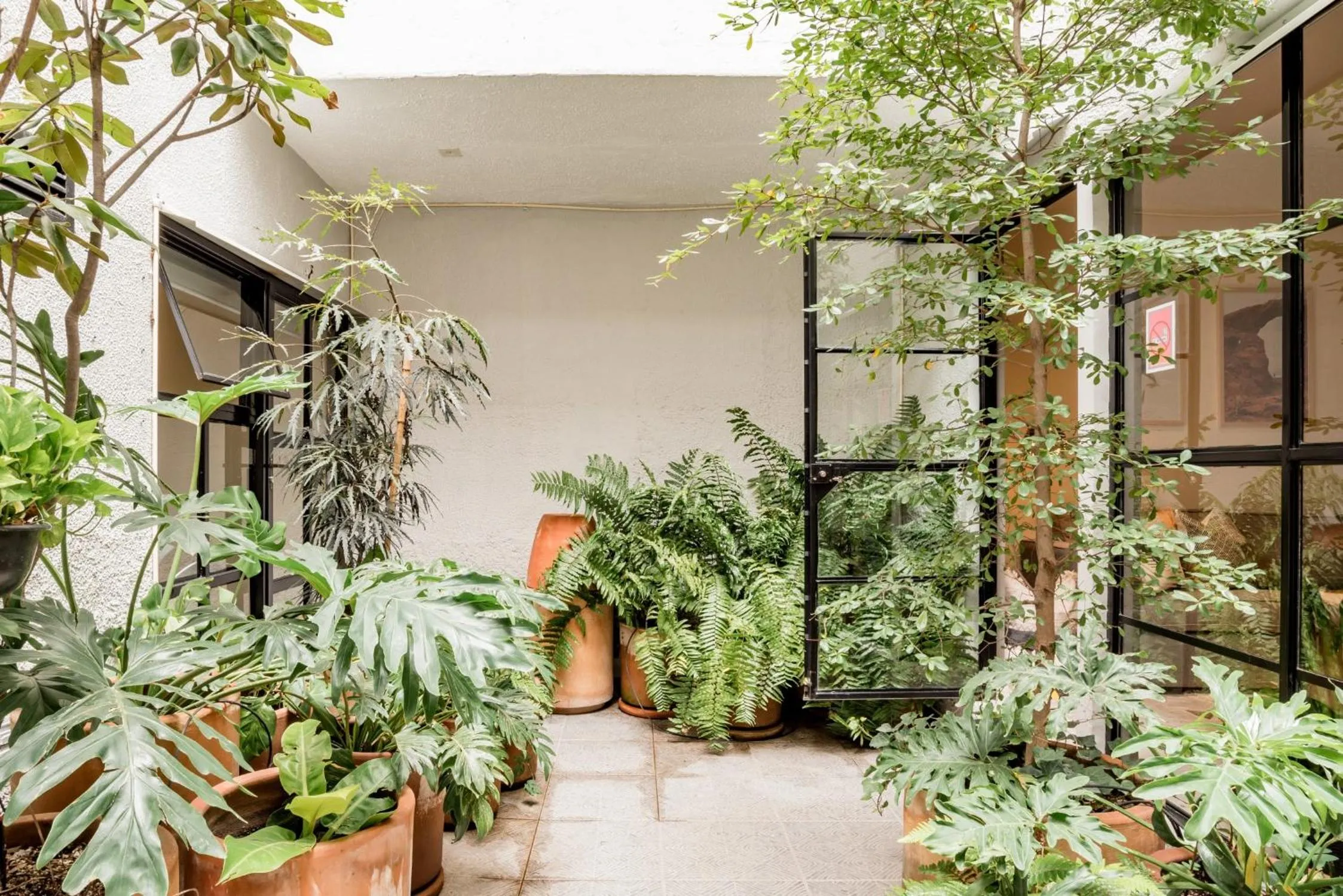 Patio in Casa Alexia