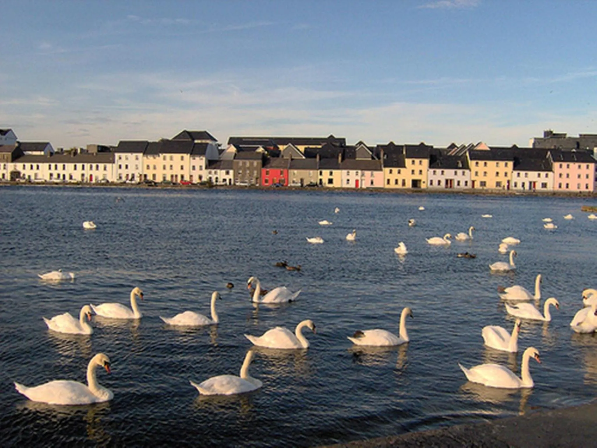 Other in Griffin Lodge Guesthouse