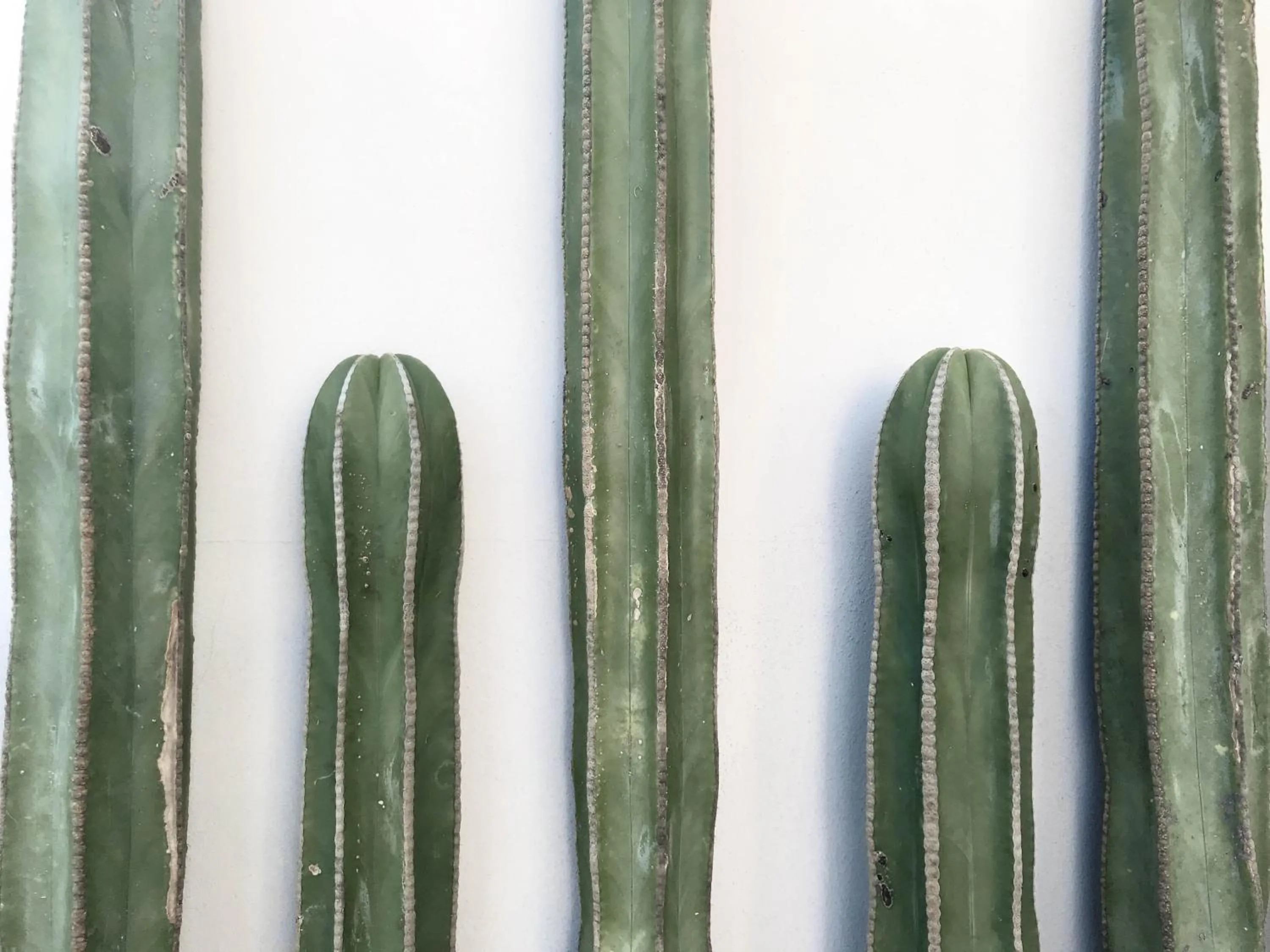 Decorative detail in SIX TWO FOUR Urban Beach Hotel