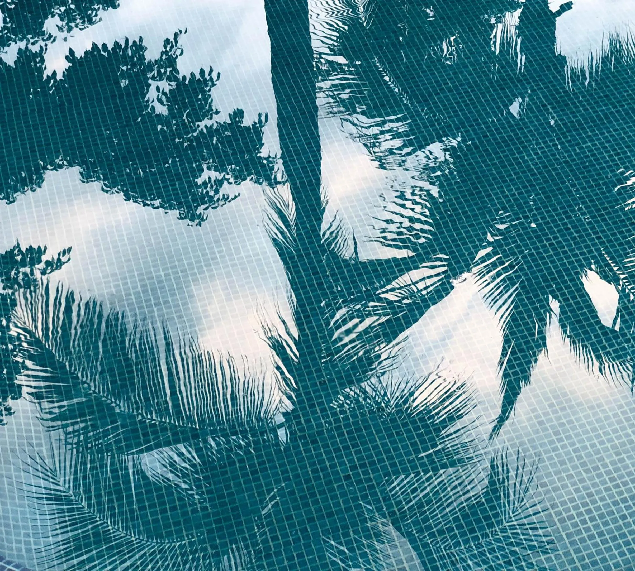 Day in SIX TWO FOUR Urban Beach Hotel