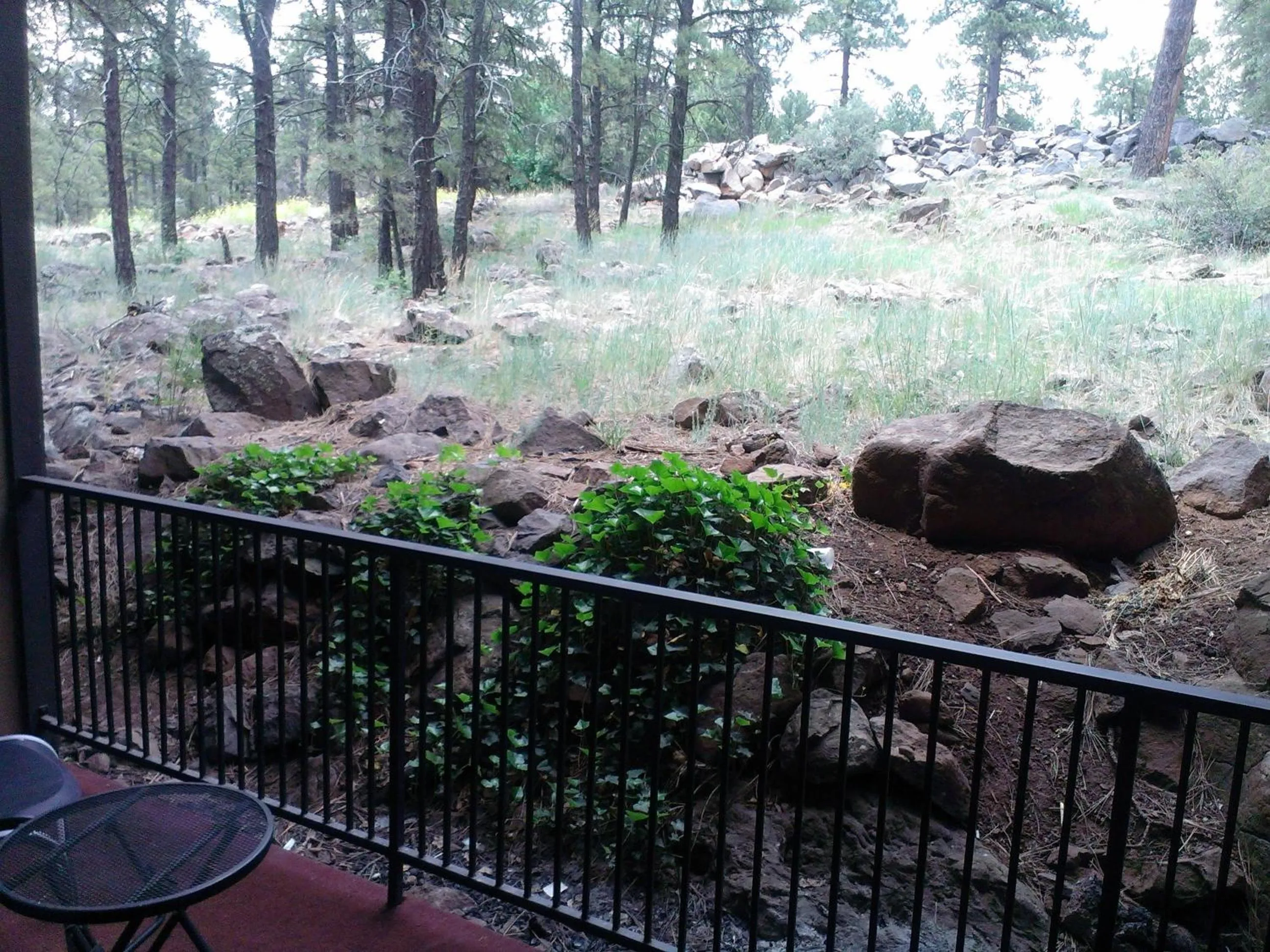 Balcony/Terrace in Motel In The Pines