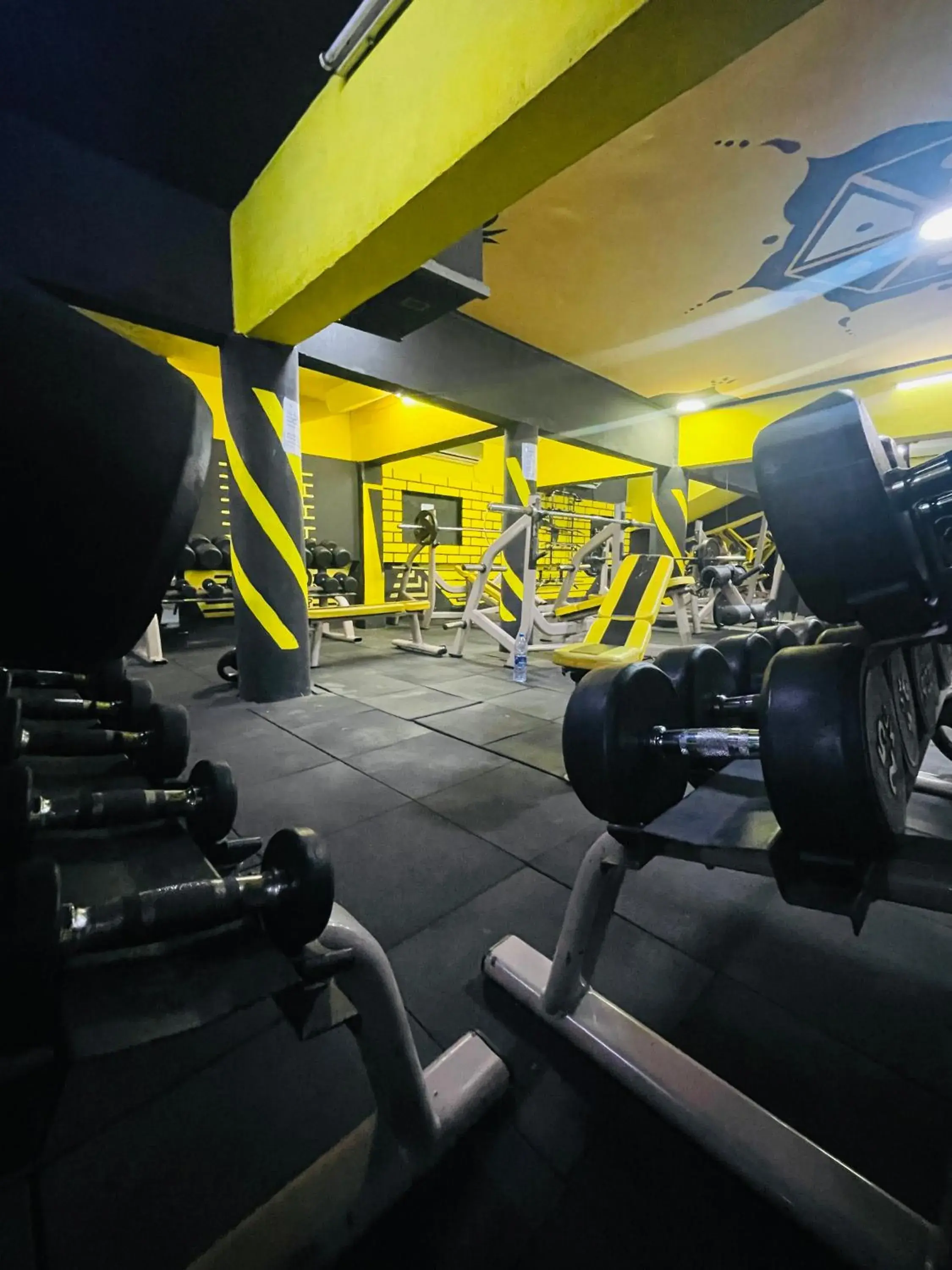 Fitness centre/facilities in Niagara Hotel Fitness centre/facilities in Niagara Hotel