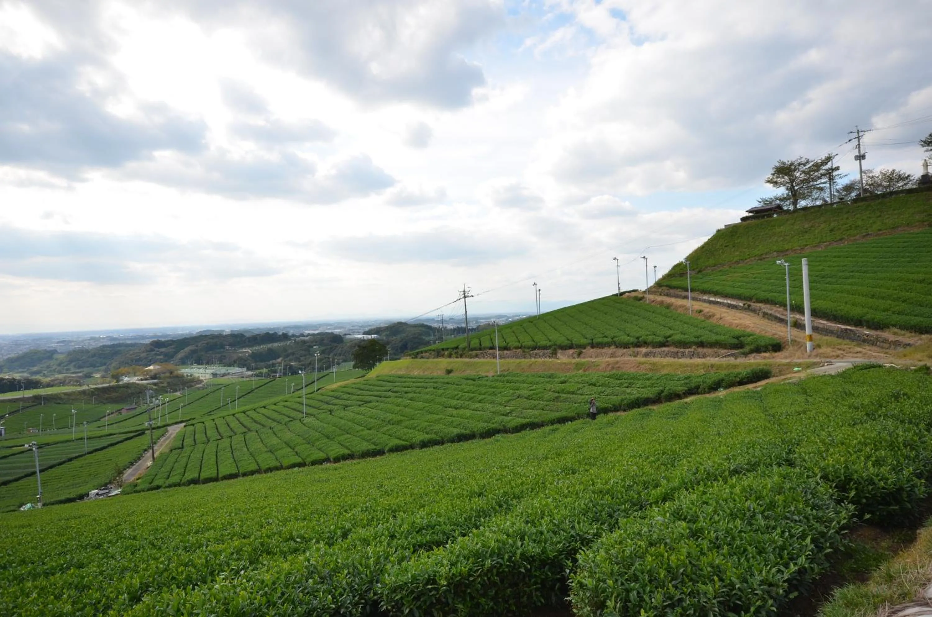Natural landscape in HOTEL SOLA Yame-ADULT ONLY-artificial hot spring-