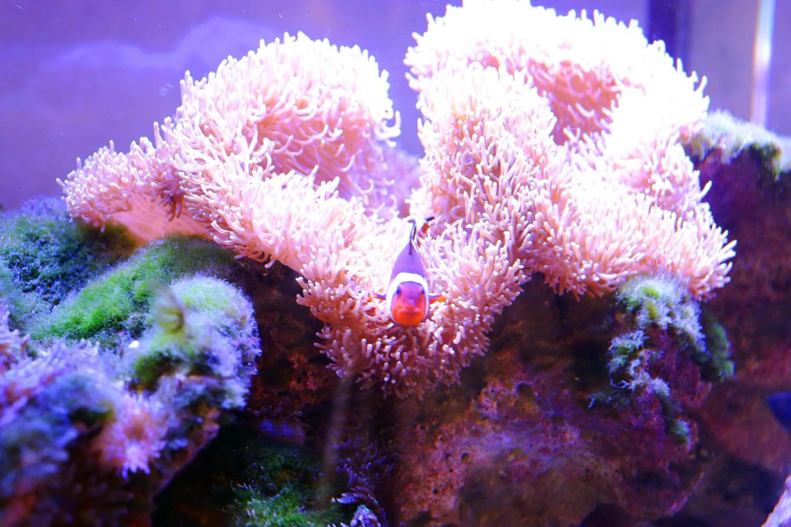 Area and facilities in 民宿さざんか