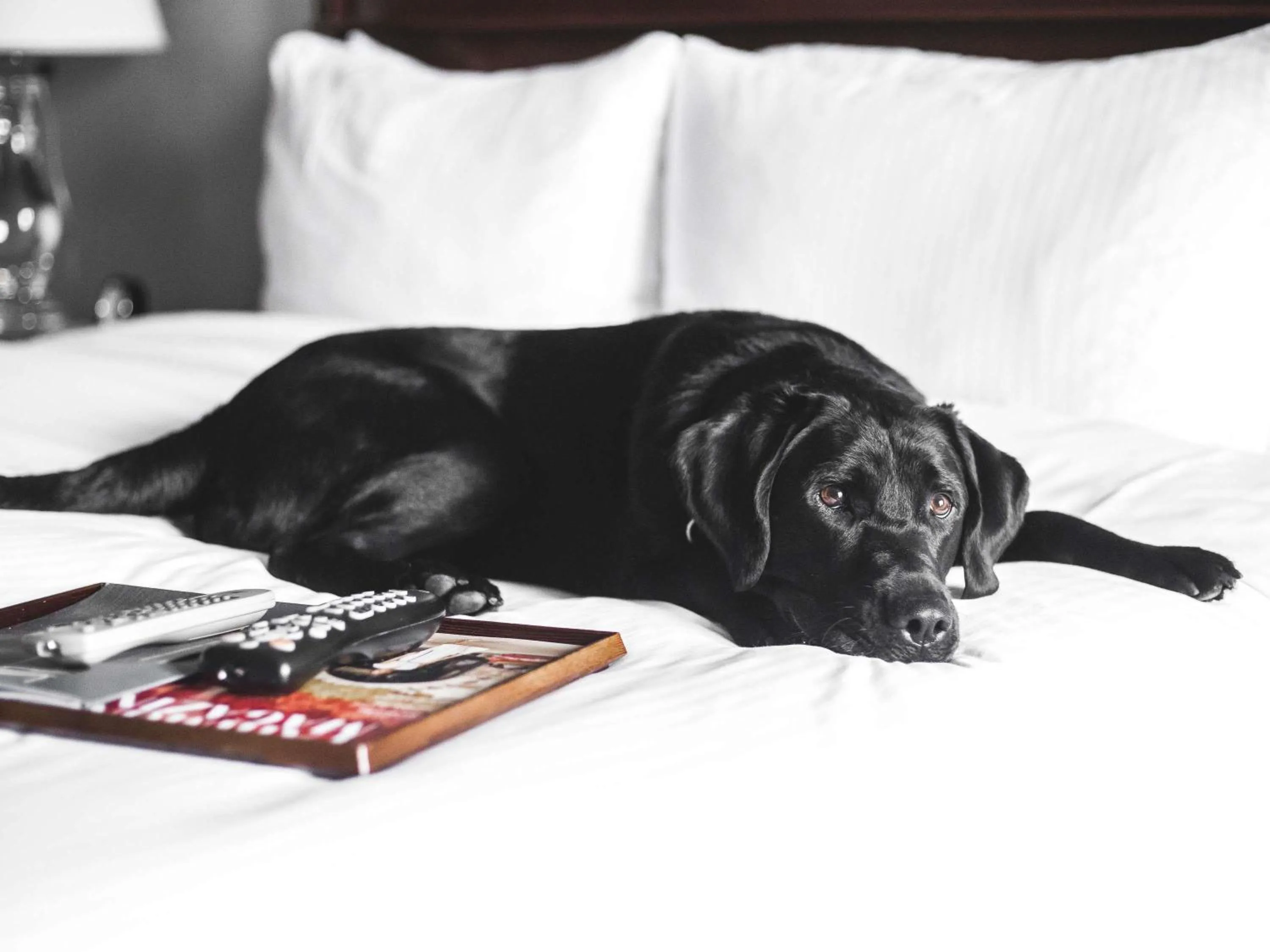 Other in Fairmont Copley Plaza