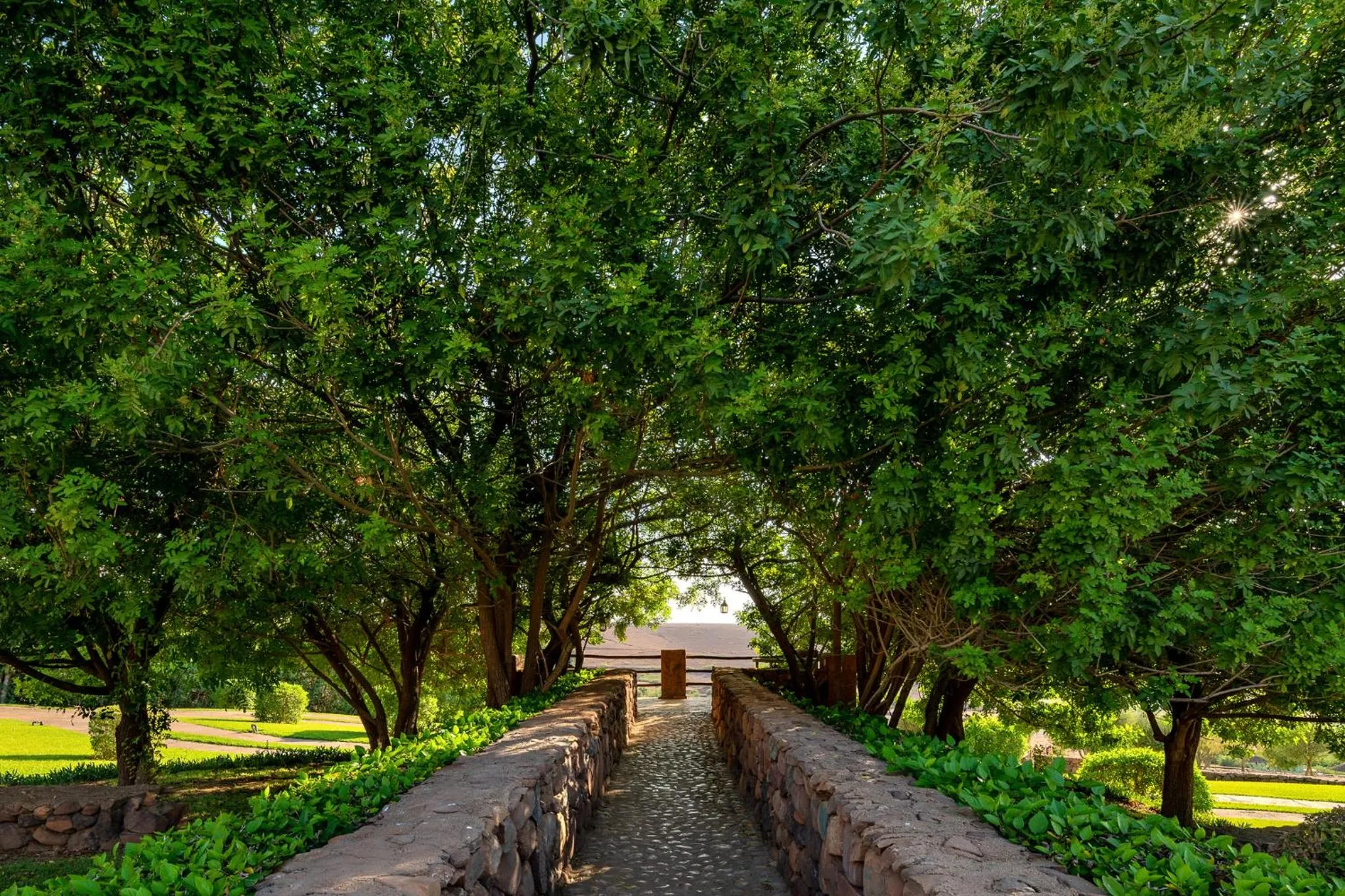 Spring in Le Palais Paysan