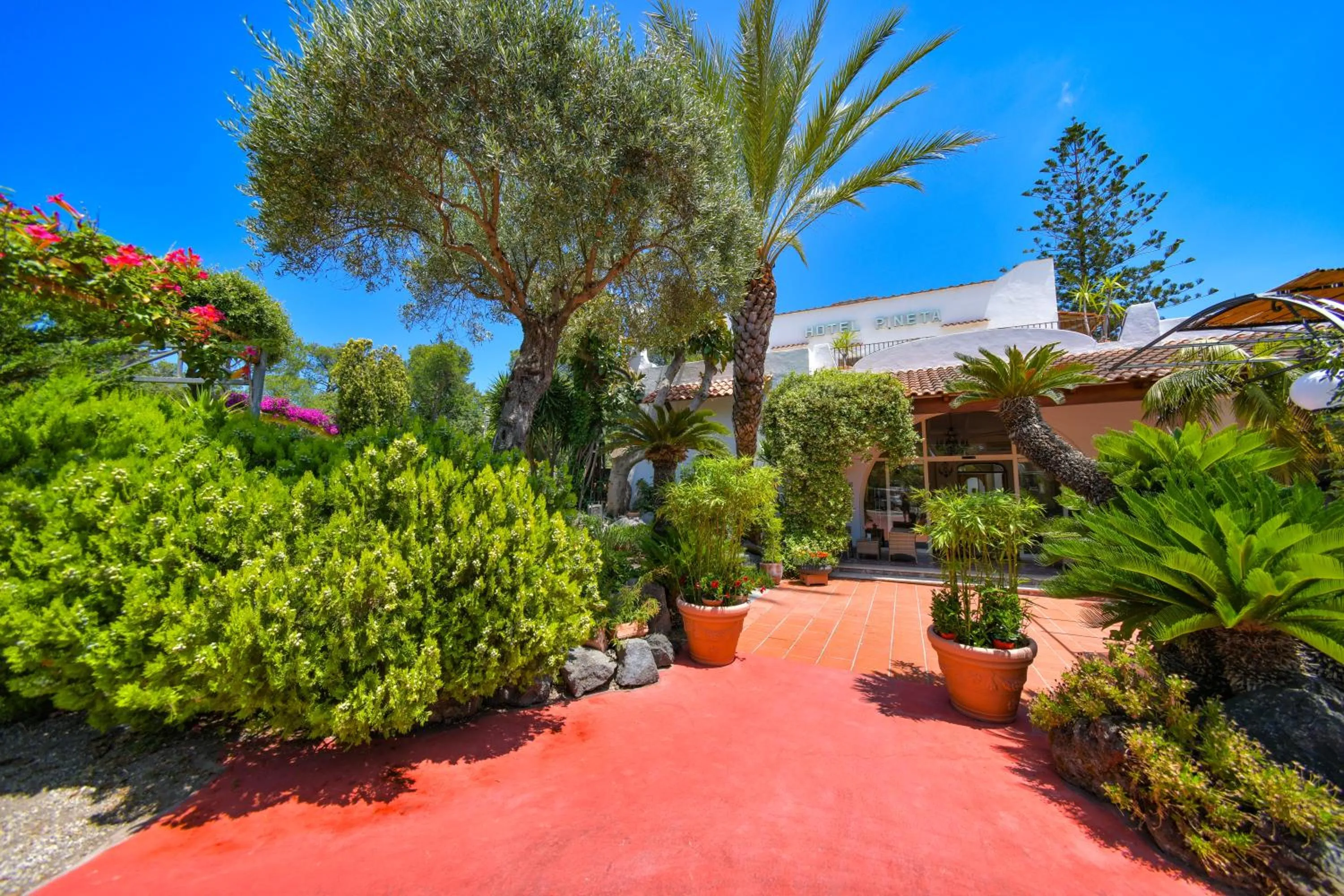 Property building in Hotel Pineta