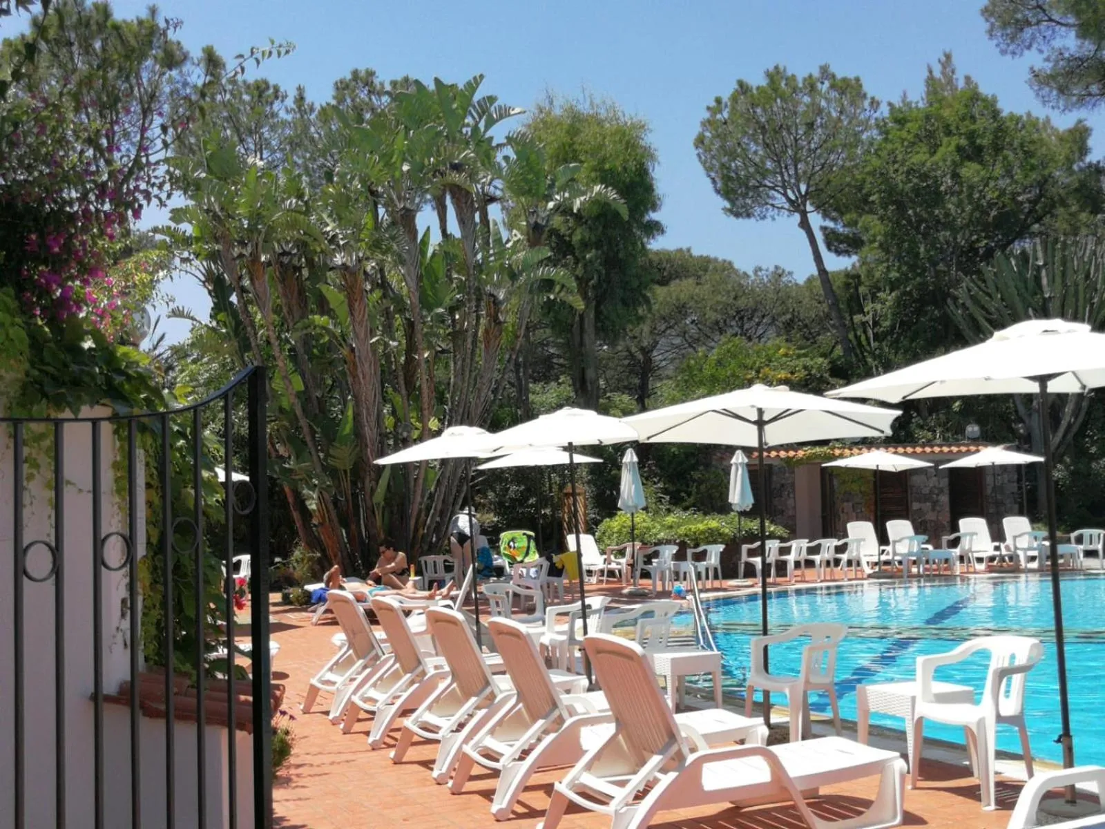 Swimming pool in Hotel Pineta