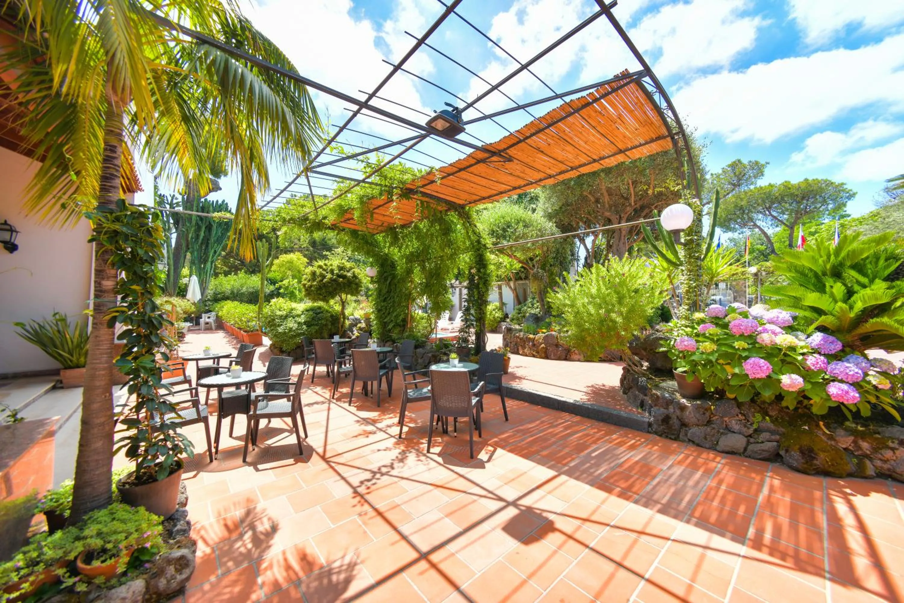 Garden in Hotel Pineta