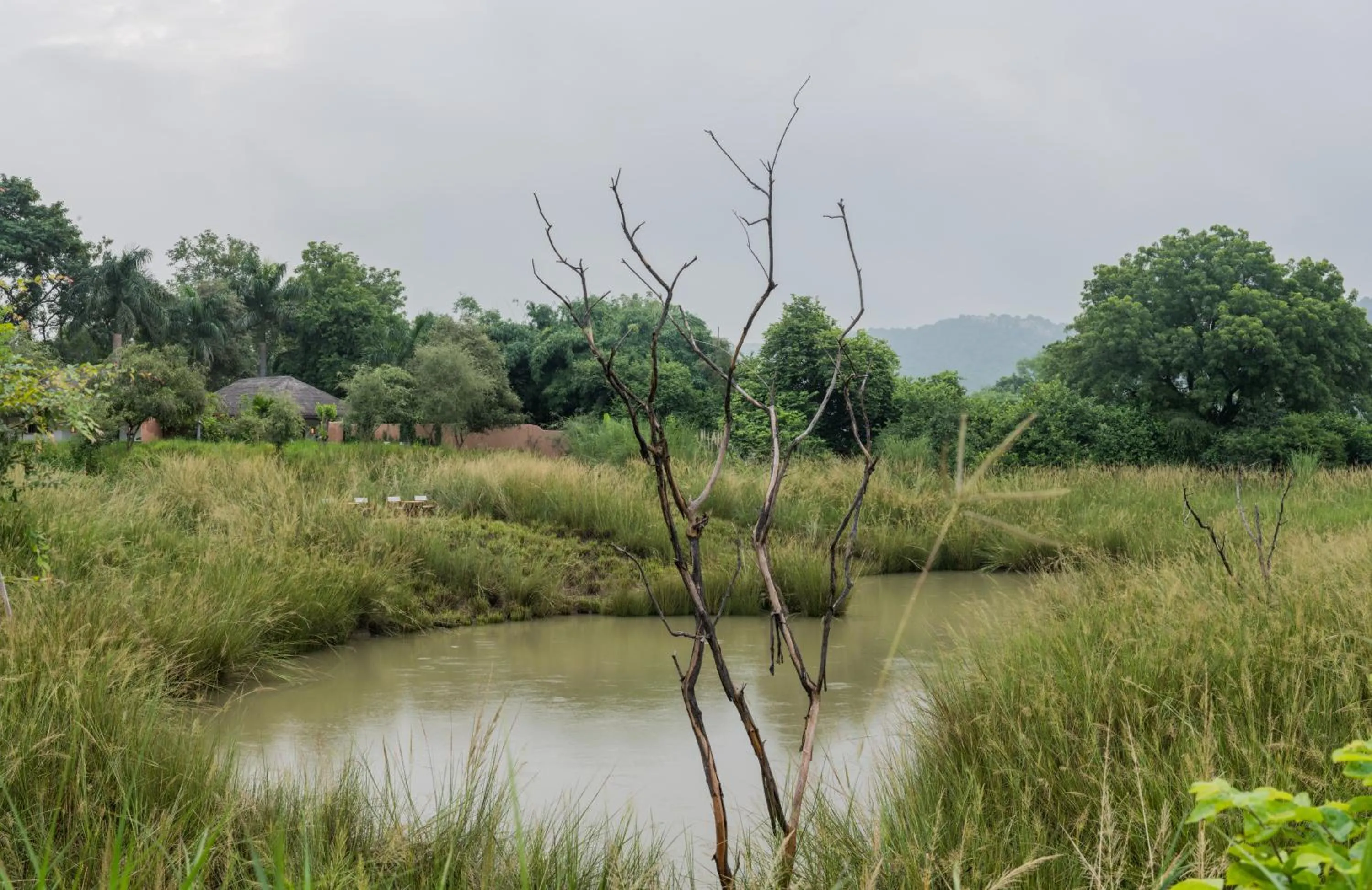 View (from property/room) in Khem Villas