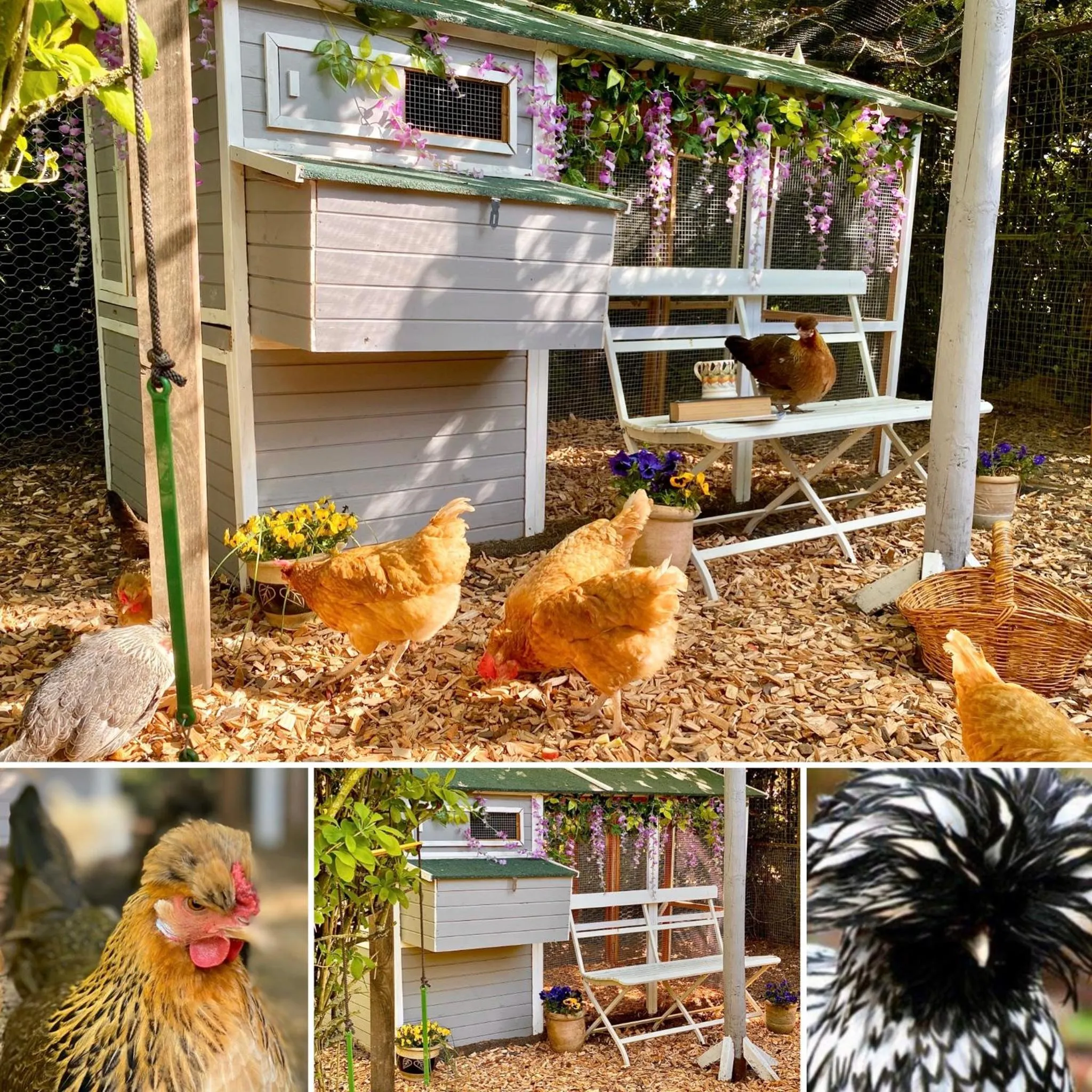 Activities in Old Hall Country Breaks