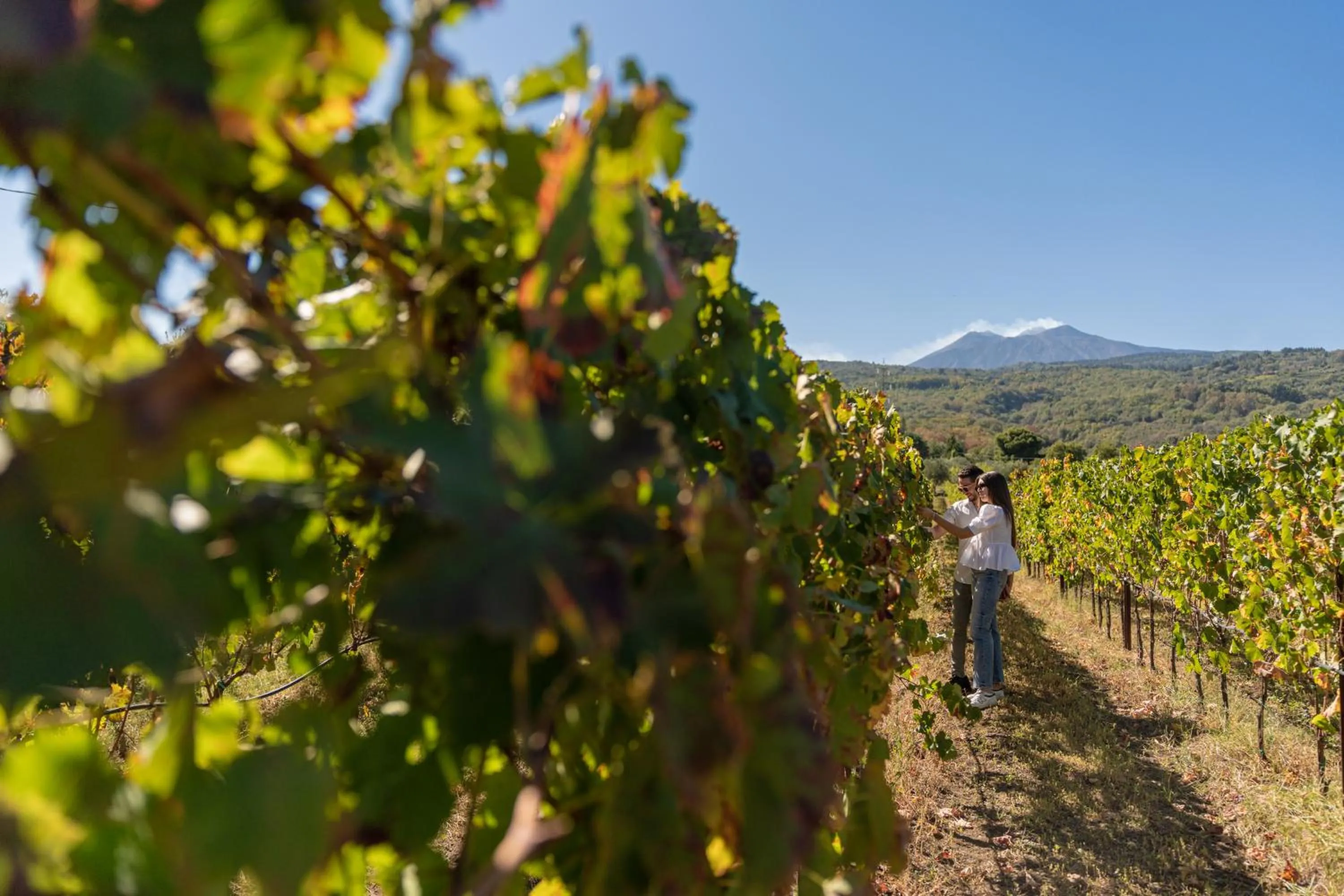 Natural landscape in Casa Arrigo