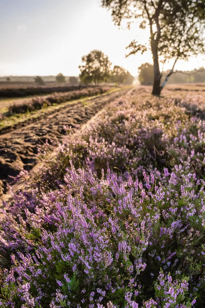 Krelinger Freizeit- und Tagungszentrum