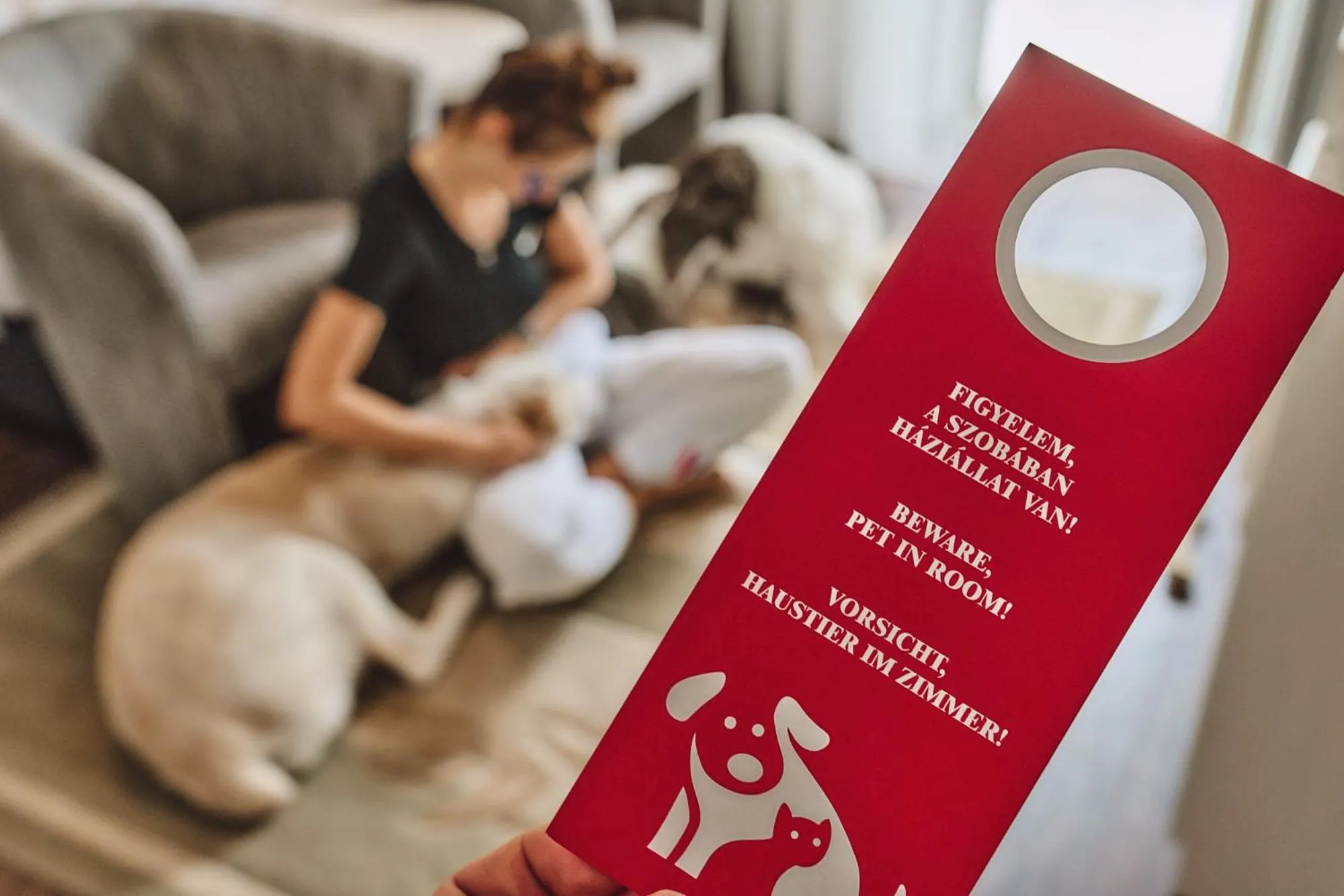 Pets in Tokajer Wellness Panzió