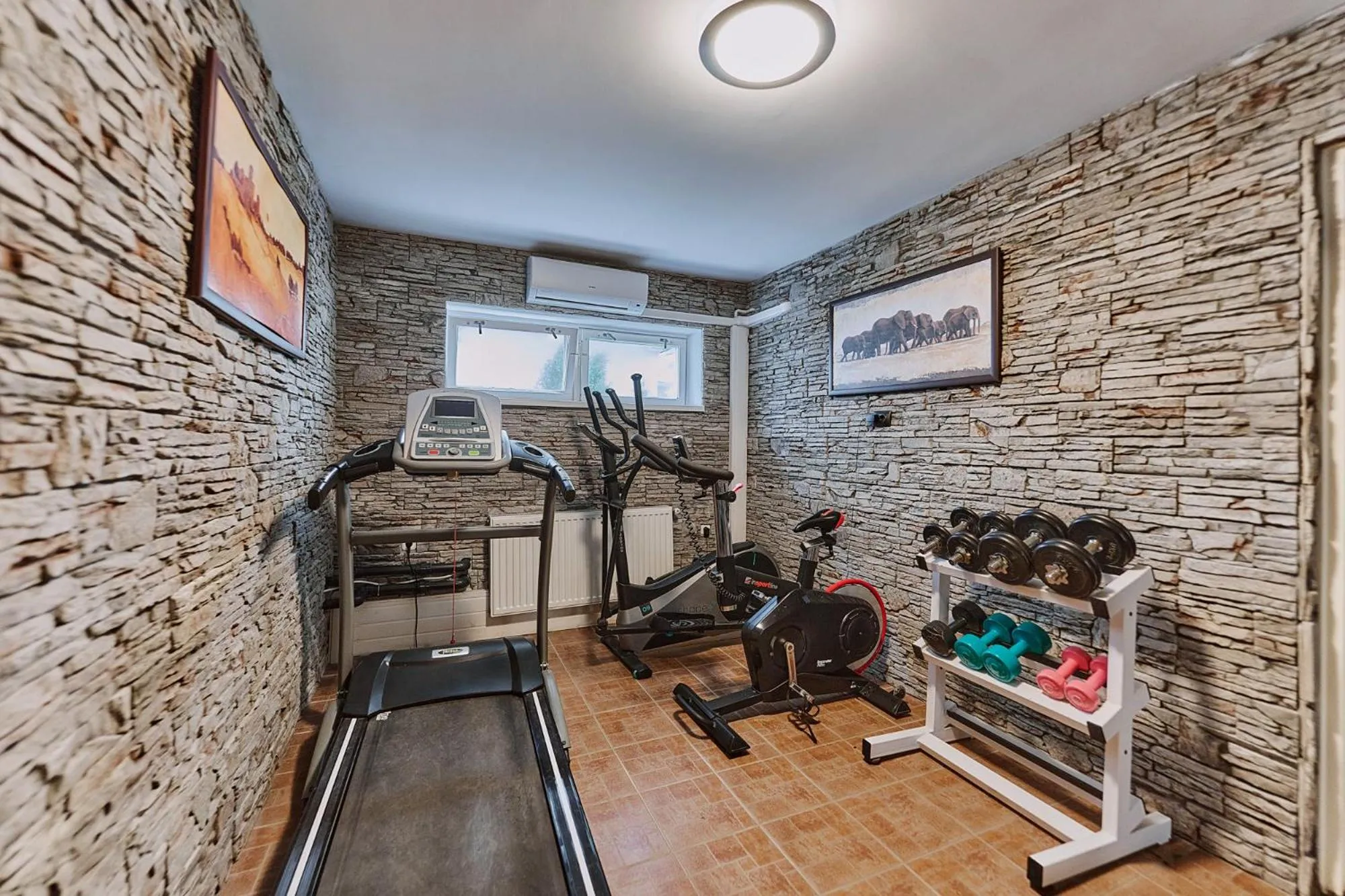 Fitness centre/facilities in Tokajer Wellness Panzió