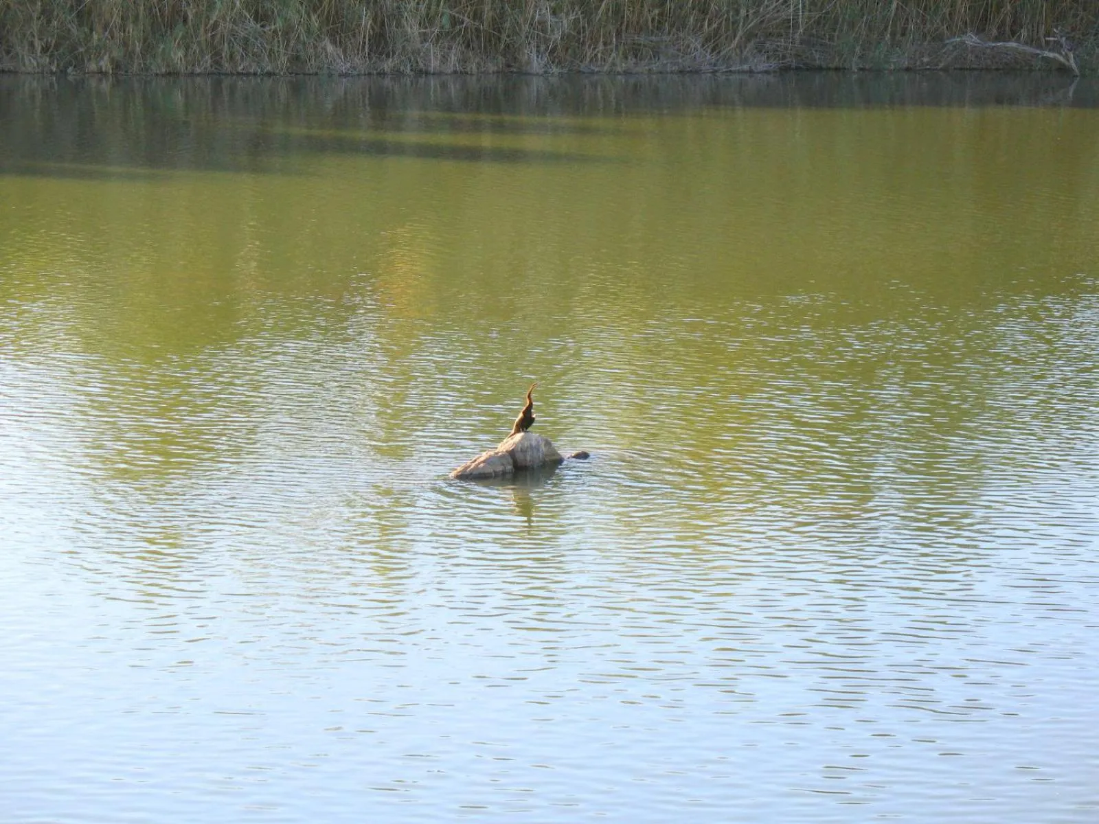 Natural landscape in Oranjerus Resort