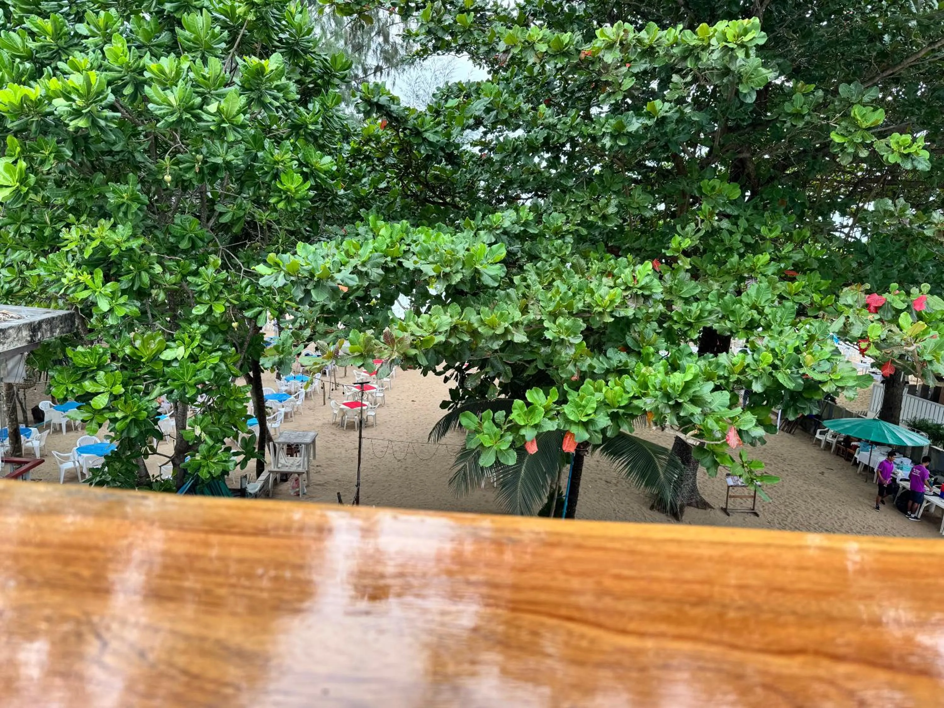 Natural landscape in Naiyang Discovery Beach Resort