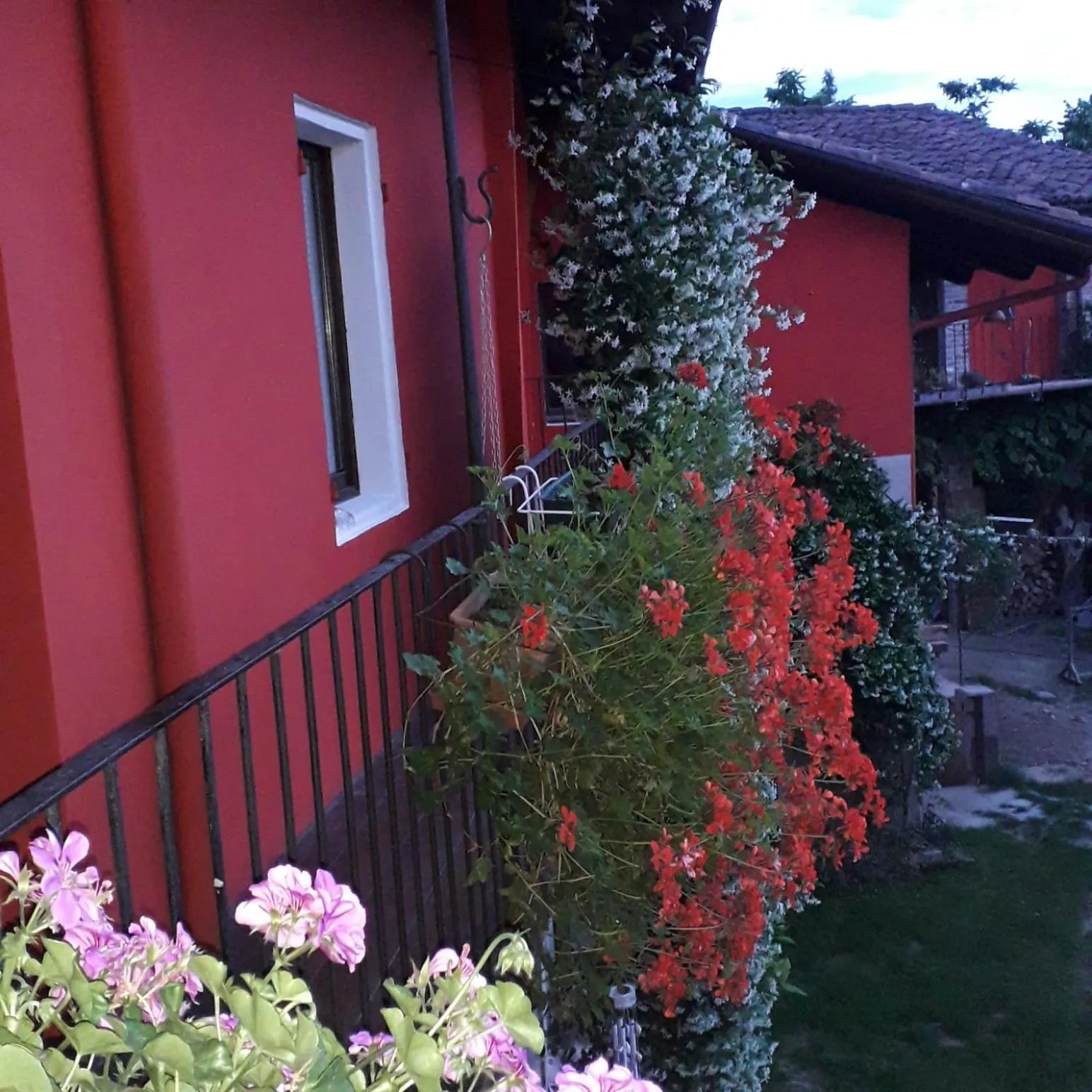 Photo of the whole room in PocoBurro Ca' d'arte