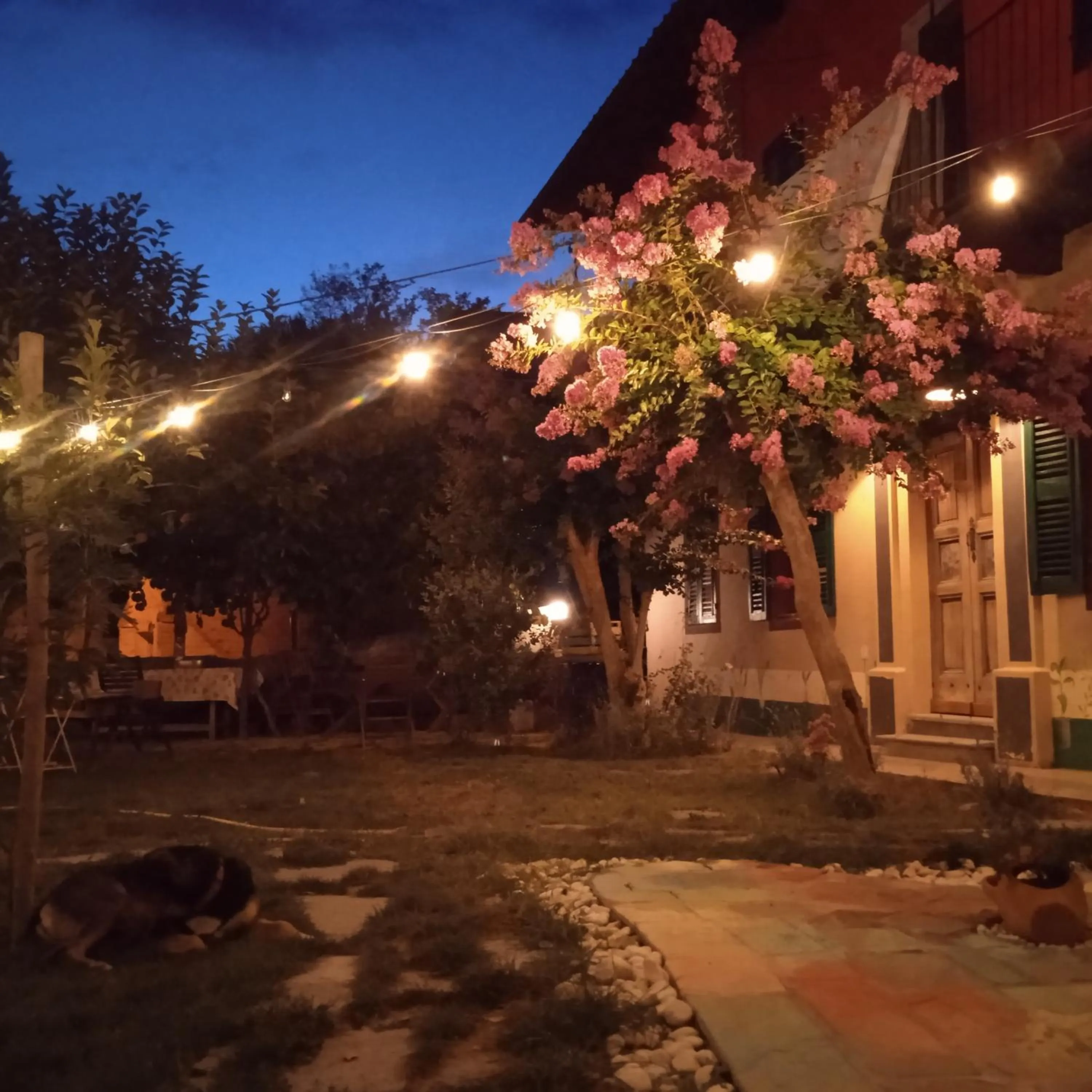 Garden in PocoBurro Ca' d'arte