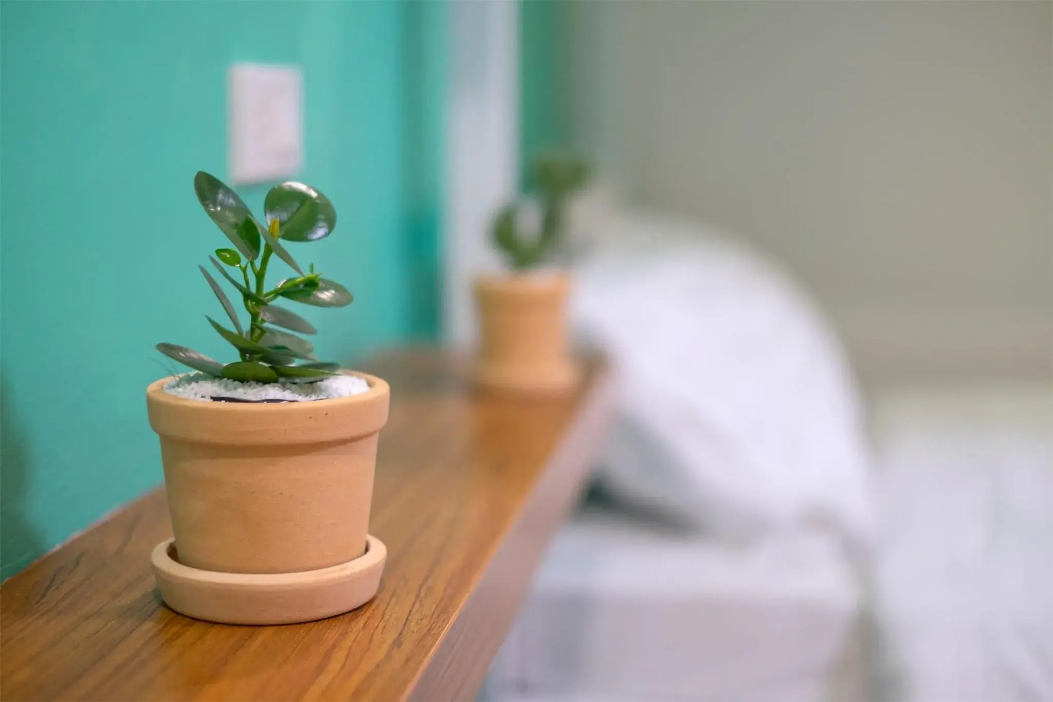 Decorative detail, Bed in BED Friends Poshtel Decorative detail, Bed in BED Friends Poshtel