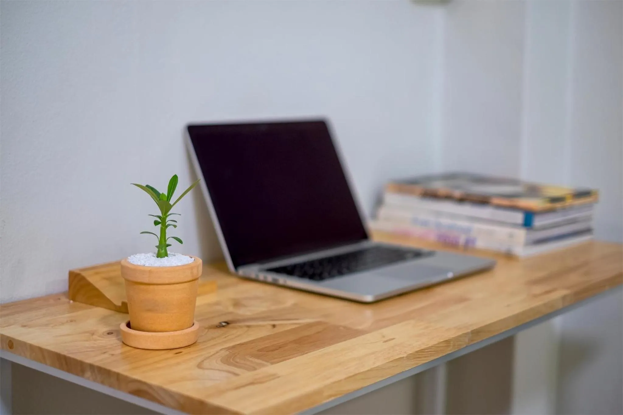 Decorative detail in BED Friends Poshtel