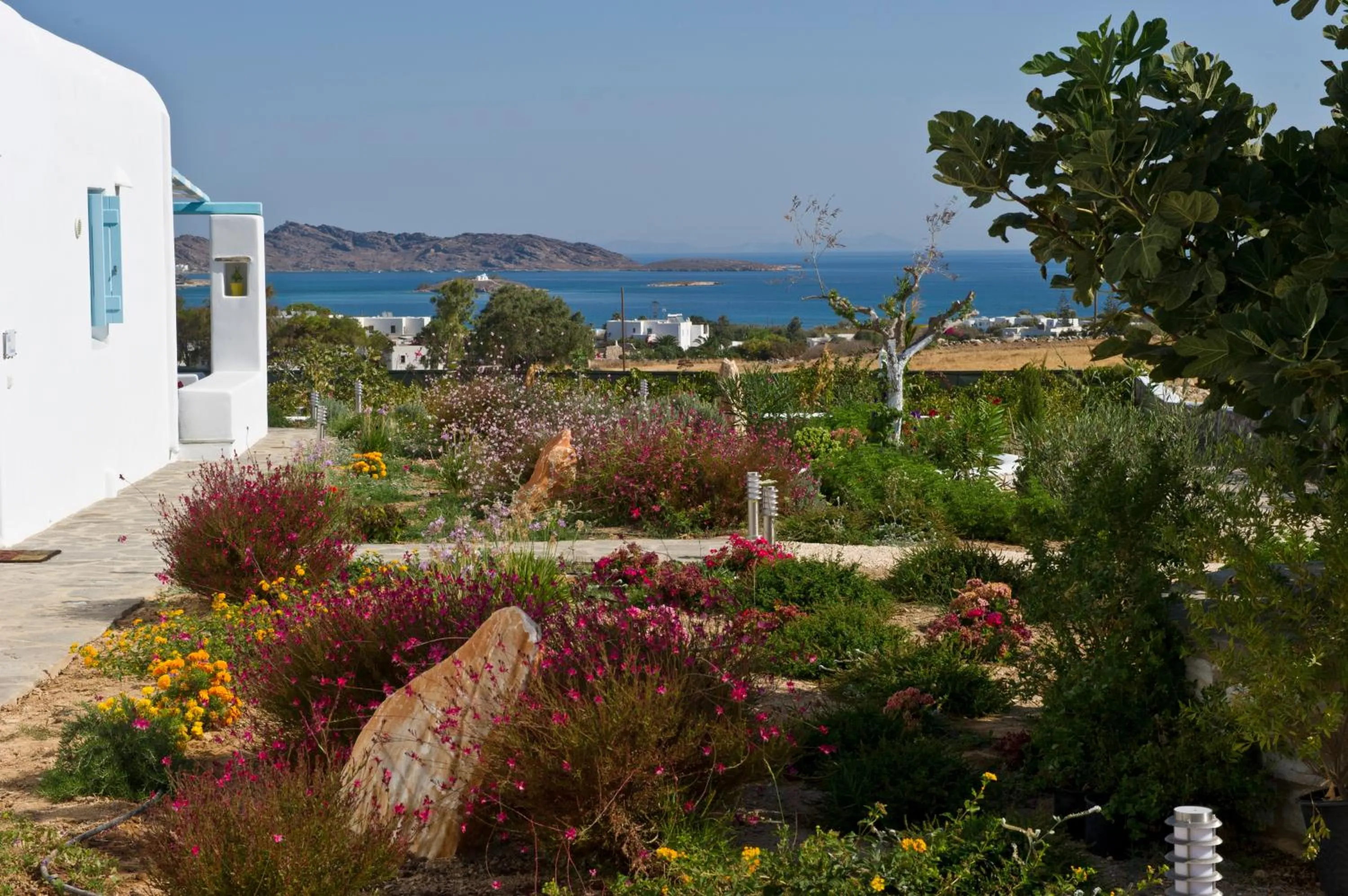 Garden in Blue Mare Villas