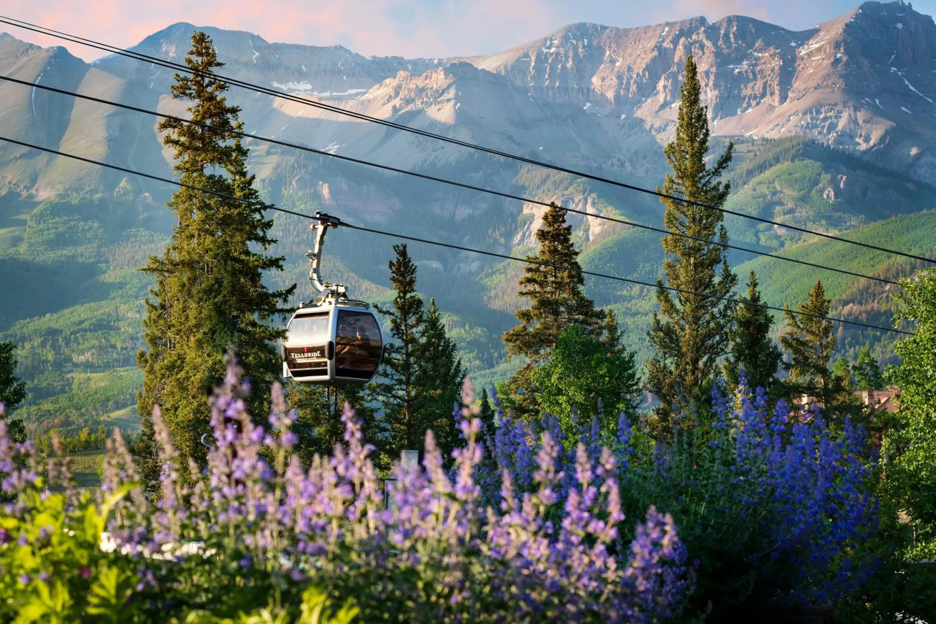 Neighbourhood in Mountain Lodge Telluride