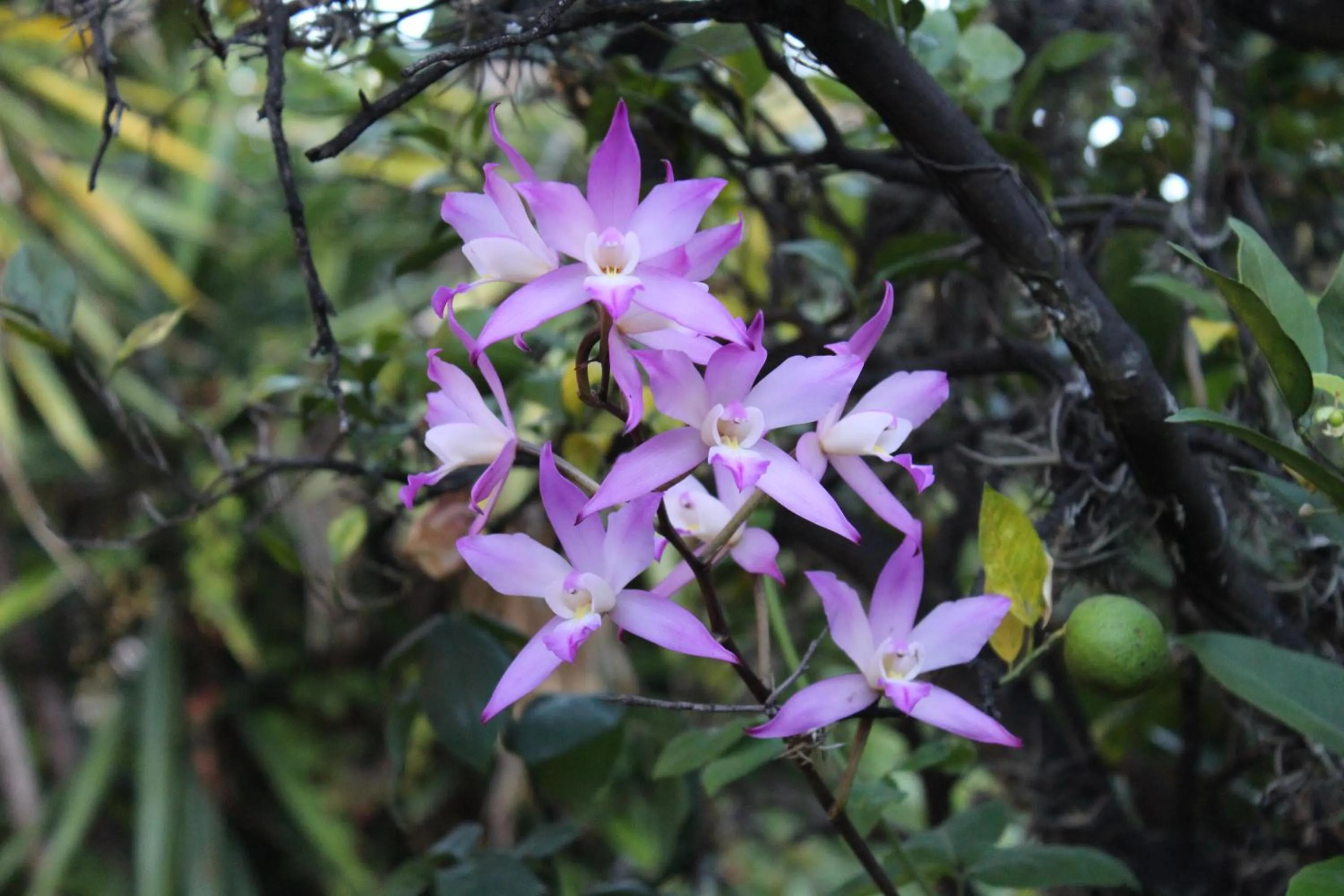 Casa Magdalena Hotel Boutique