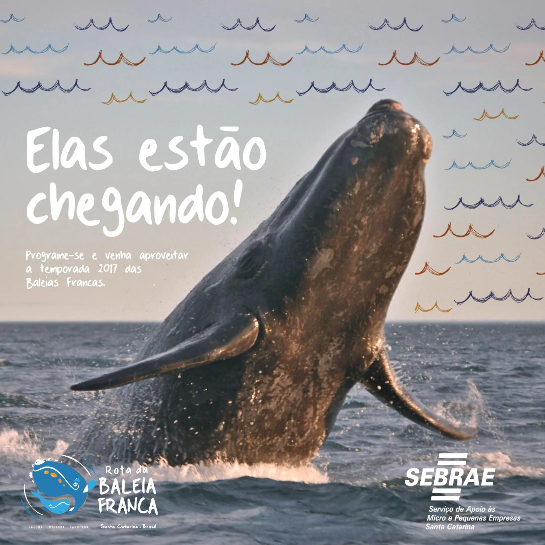 Animals in Pousada Gopak