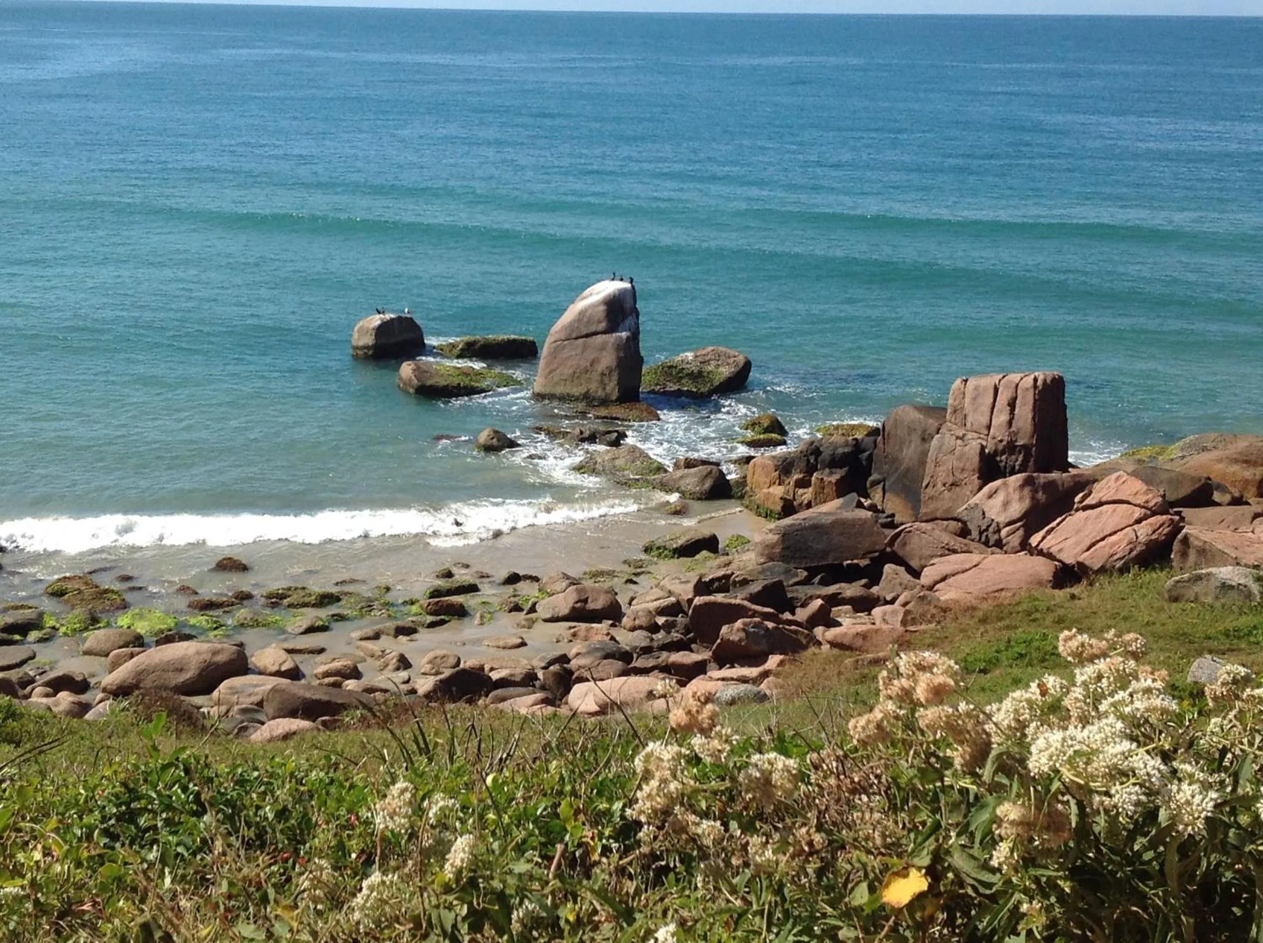 Natural landscape in Pousada Gopak