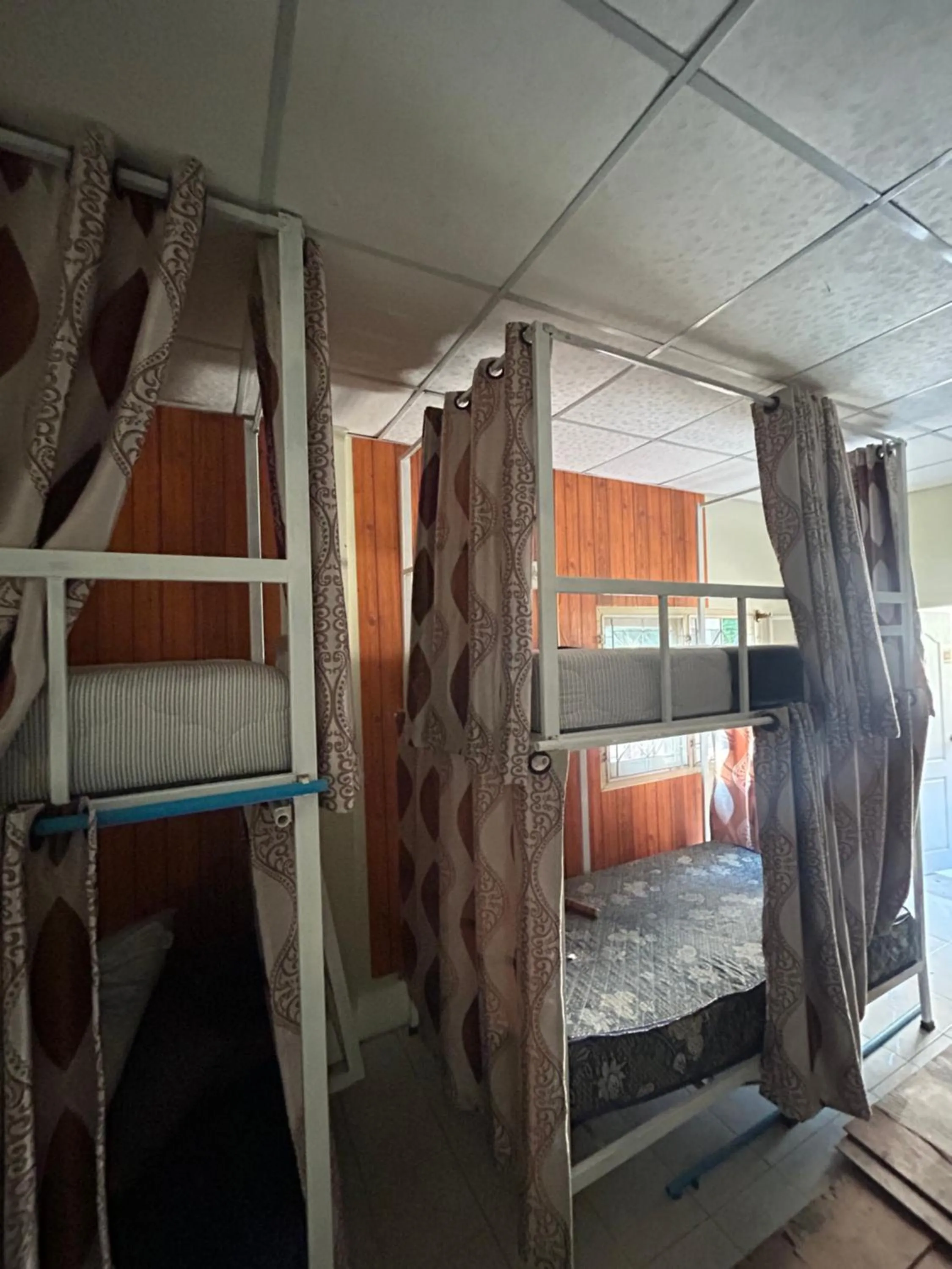 Bed in Pakchong hostel & wildlife tour