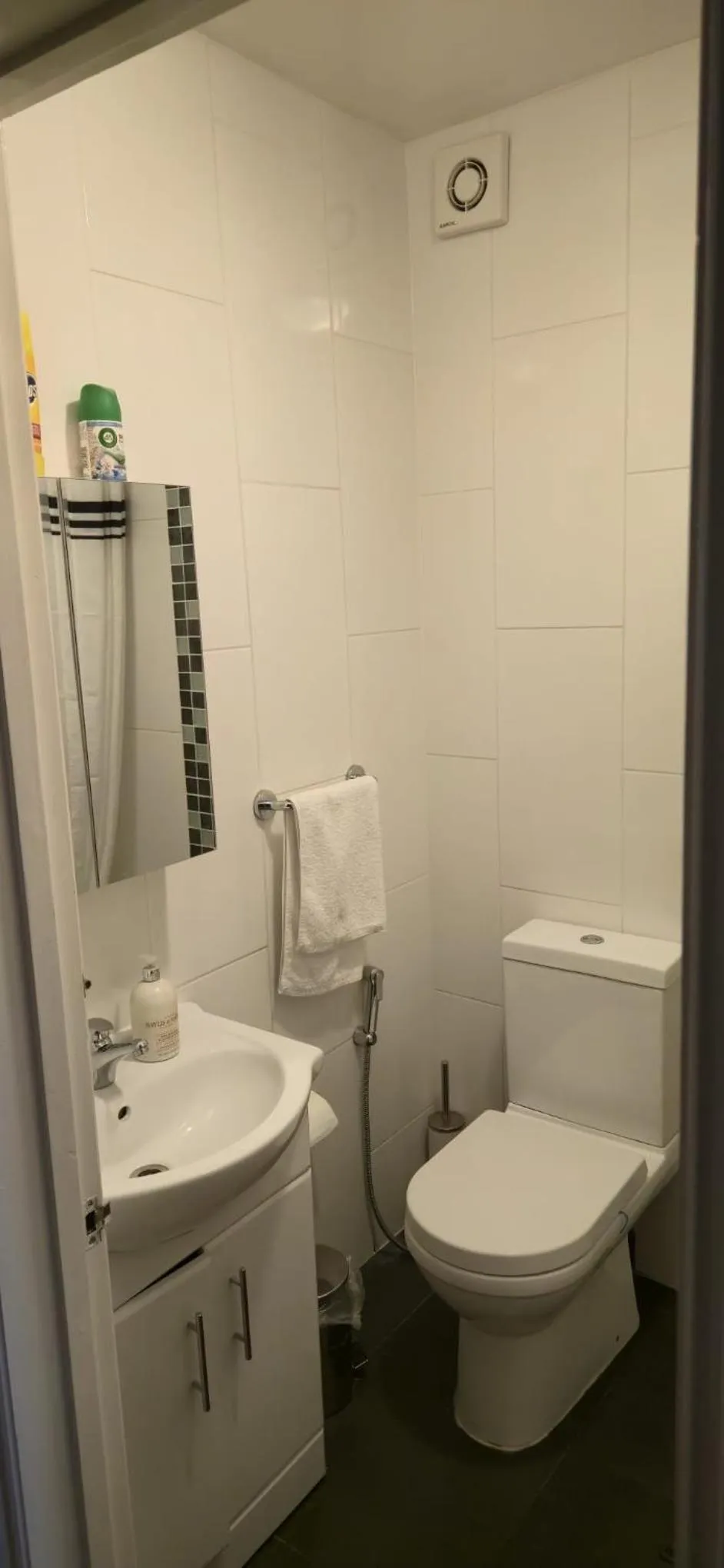 Toilet in Apple House Wembley