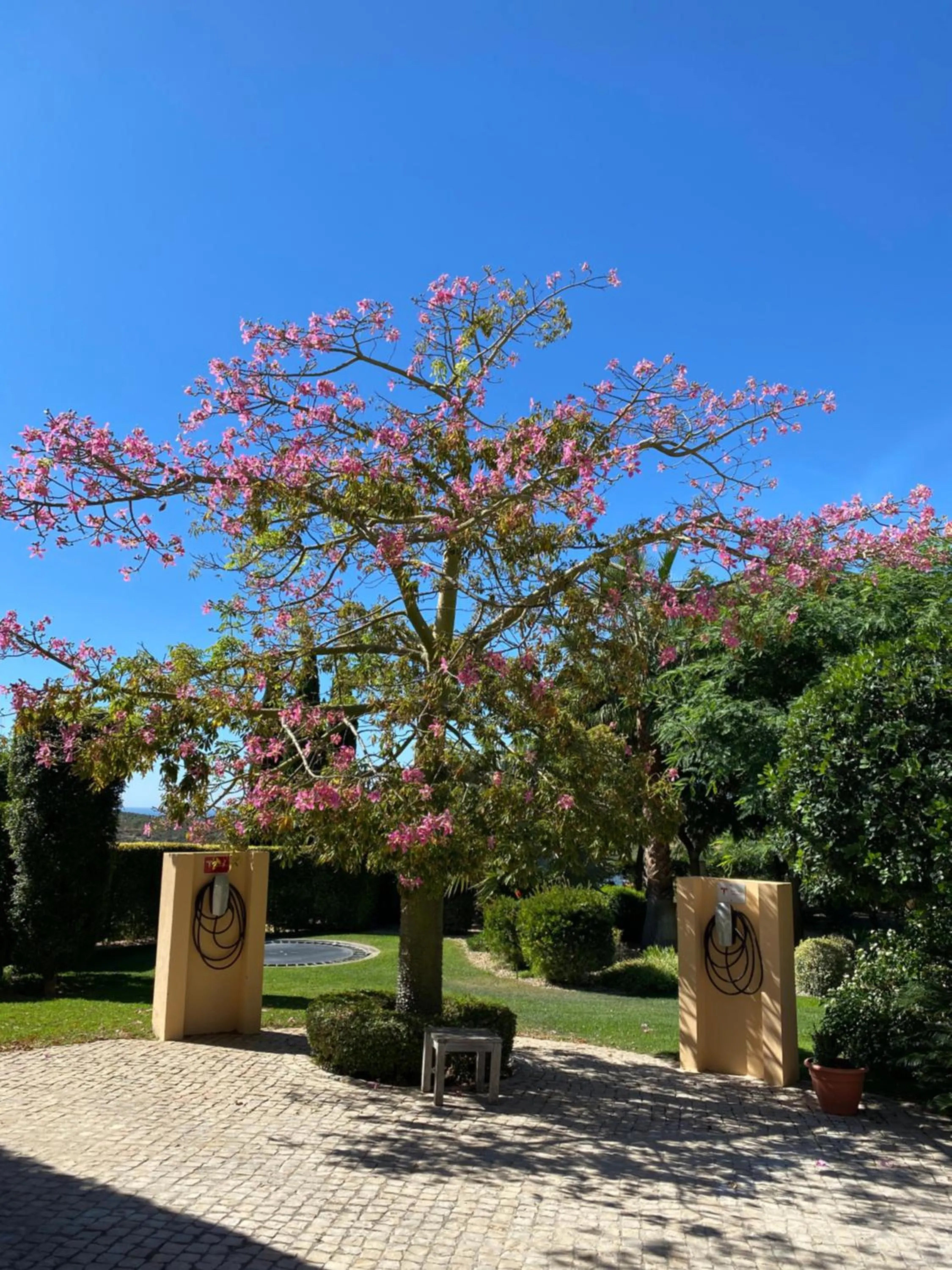 Garden in Casa Mocho Branco