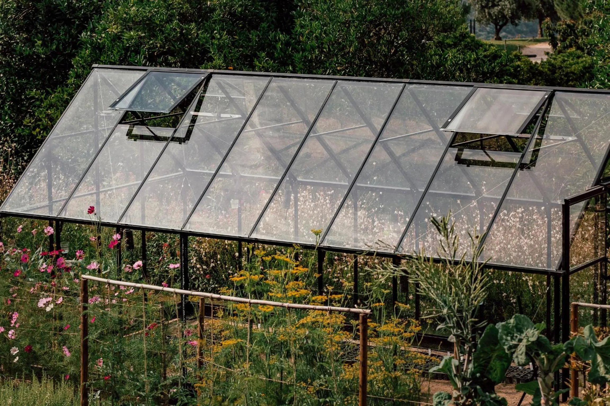 Garden in Ventozelo Hotel & Quinta