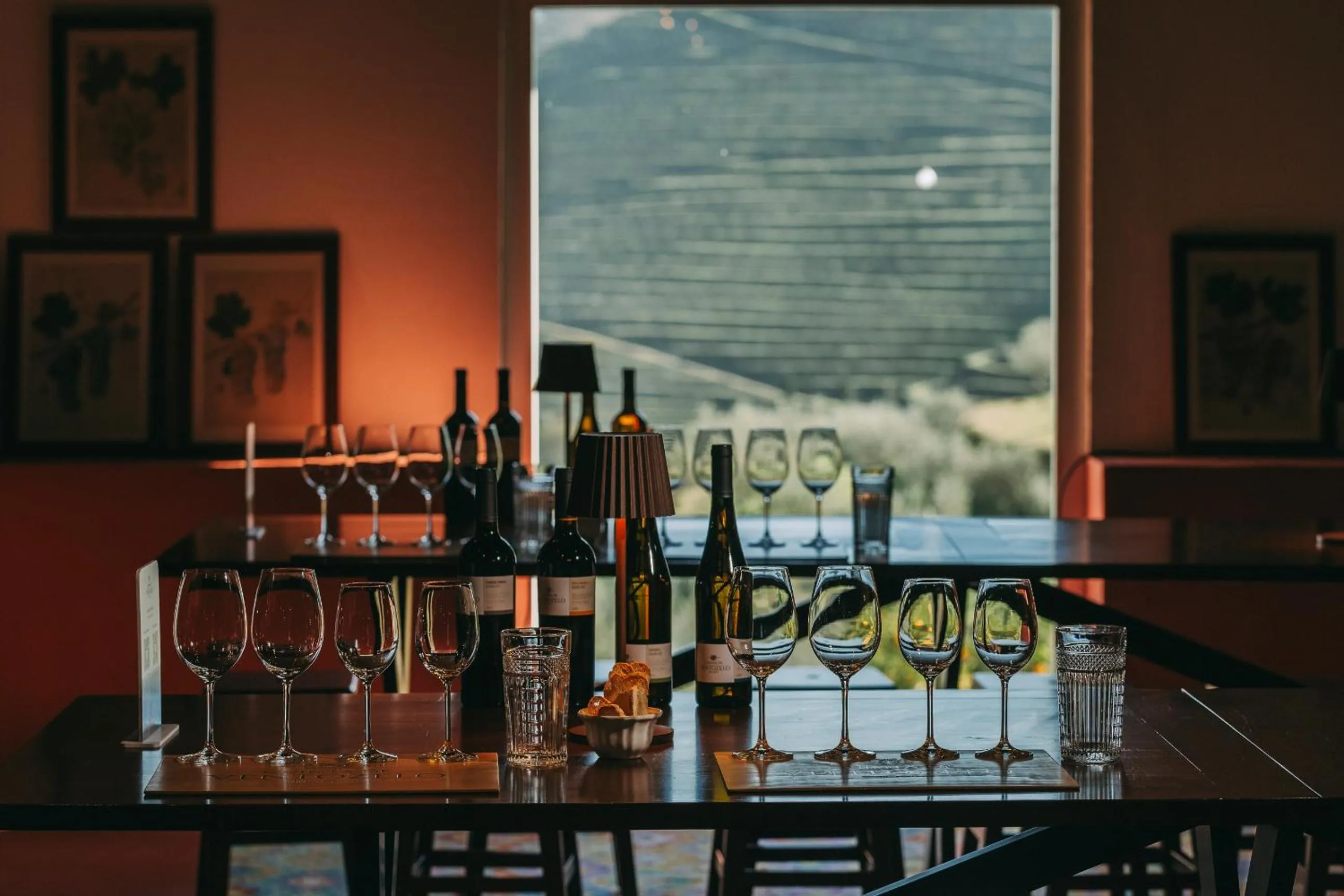 Activities in Ventozelo Hotel & Quinta