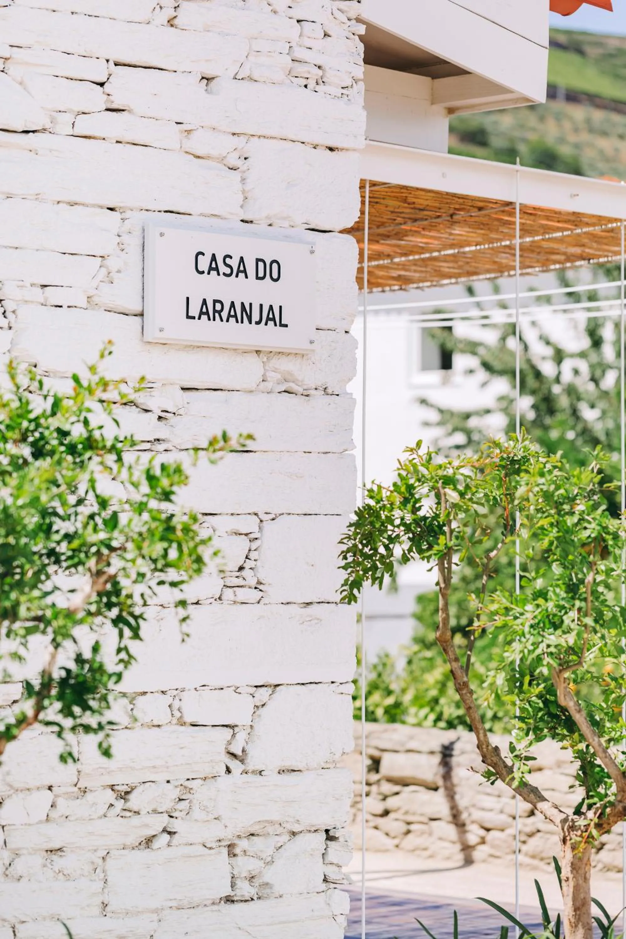 Double Room in Ventozelo Hotel & Quinta