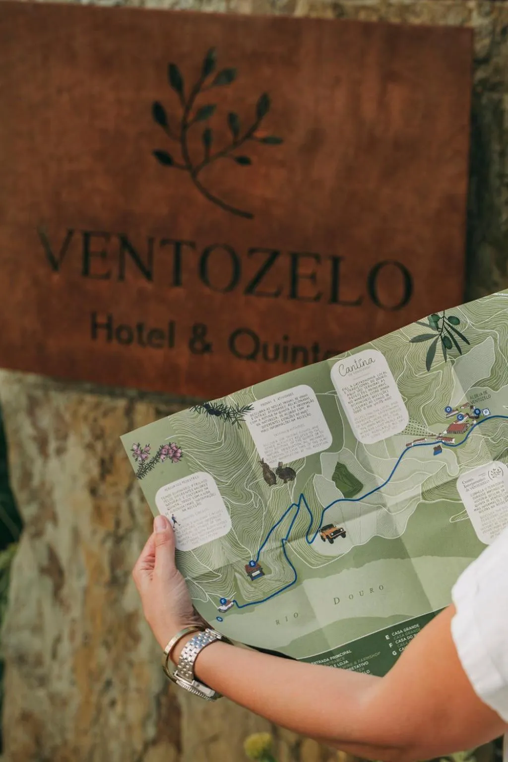 Activities in Ventozelo Hotel & Quinta