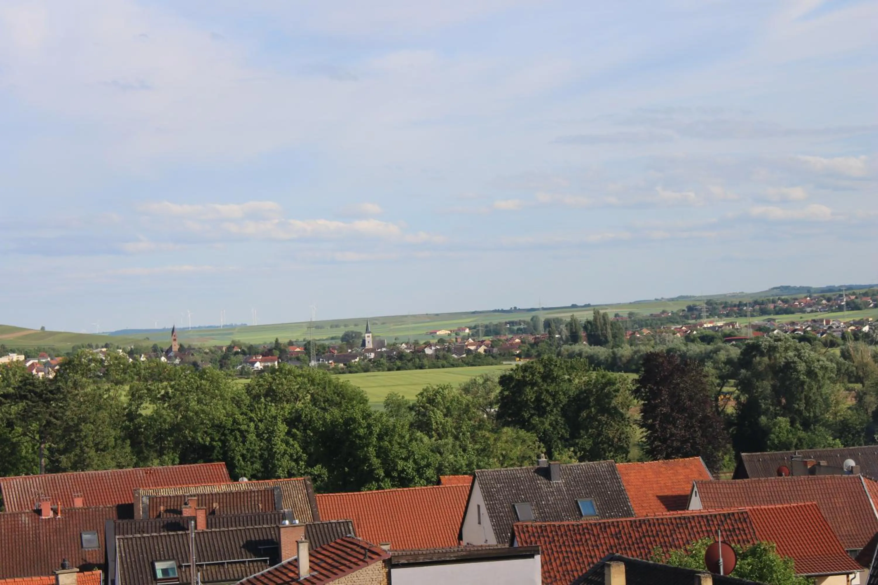 View (from property/room) in Hotel Grüner Baum
