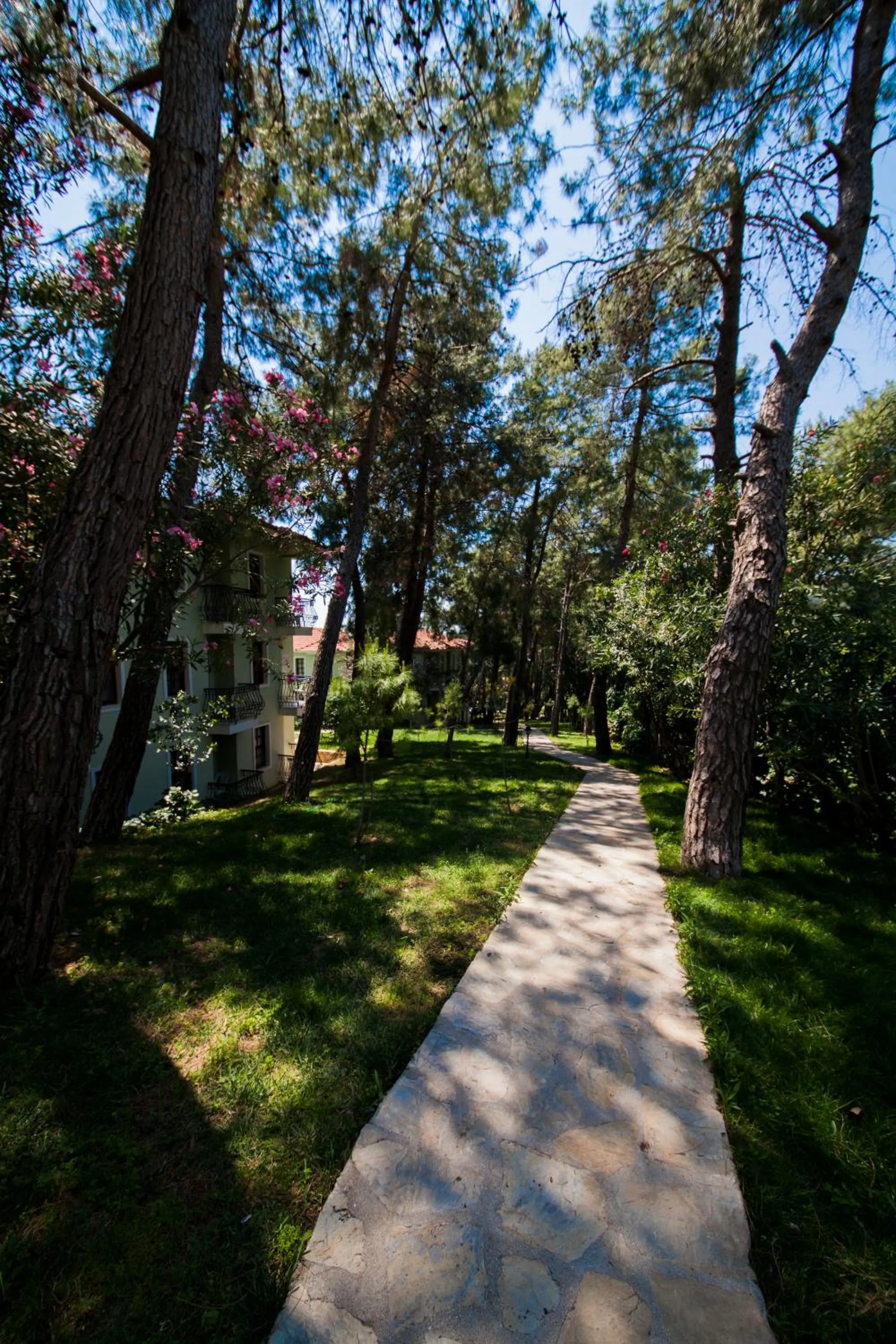 Natural landscape in Hotel Greenland - All Inclusive