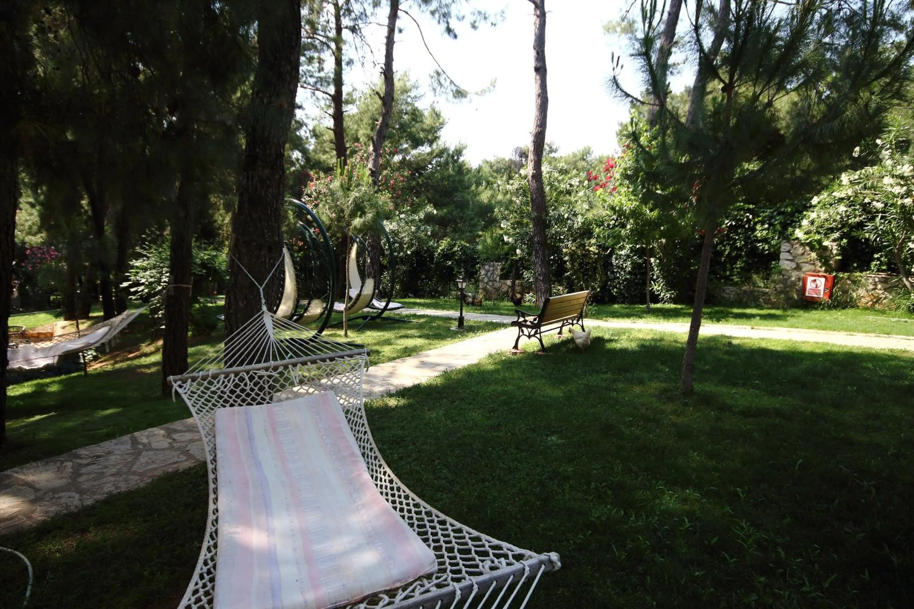 Garden in Hotel Greenland - All Inclusive