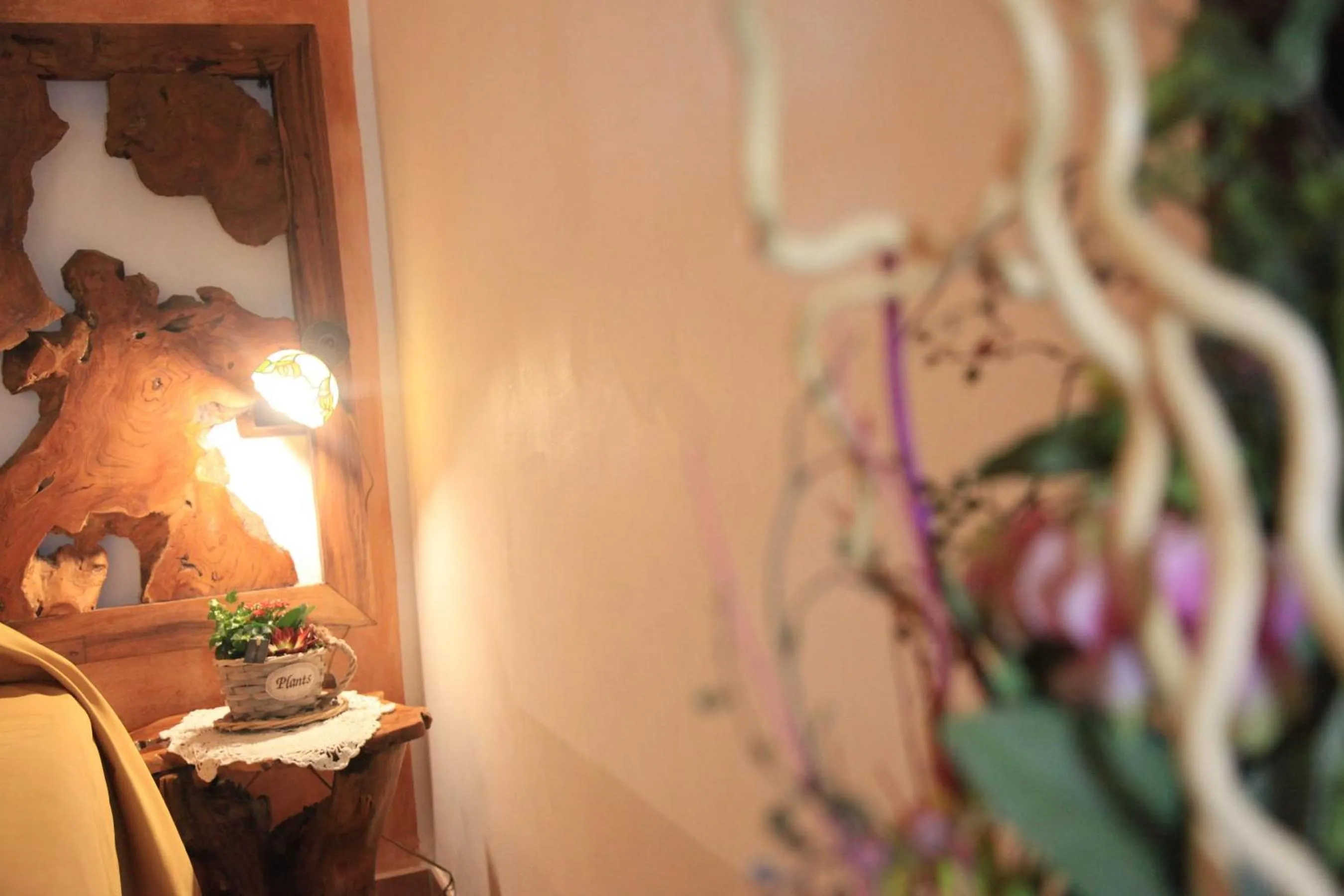 Donnaciccina Accomodation