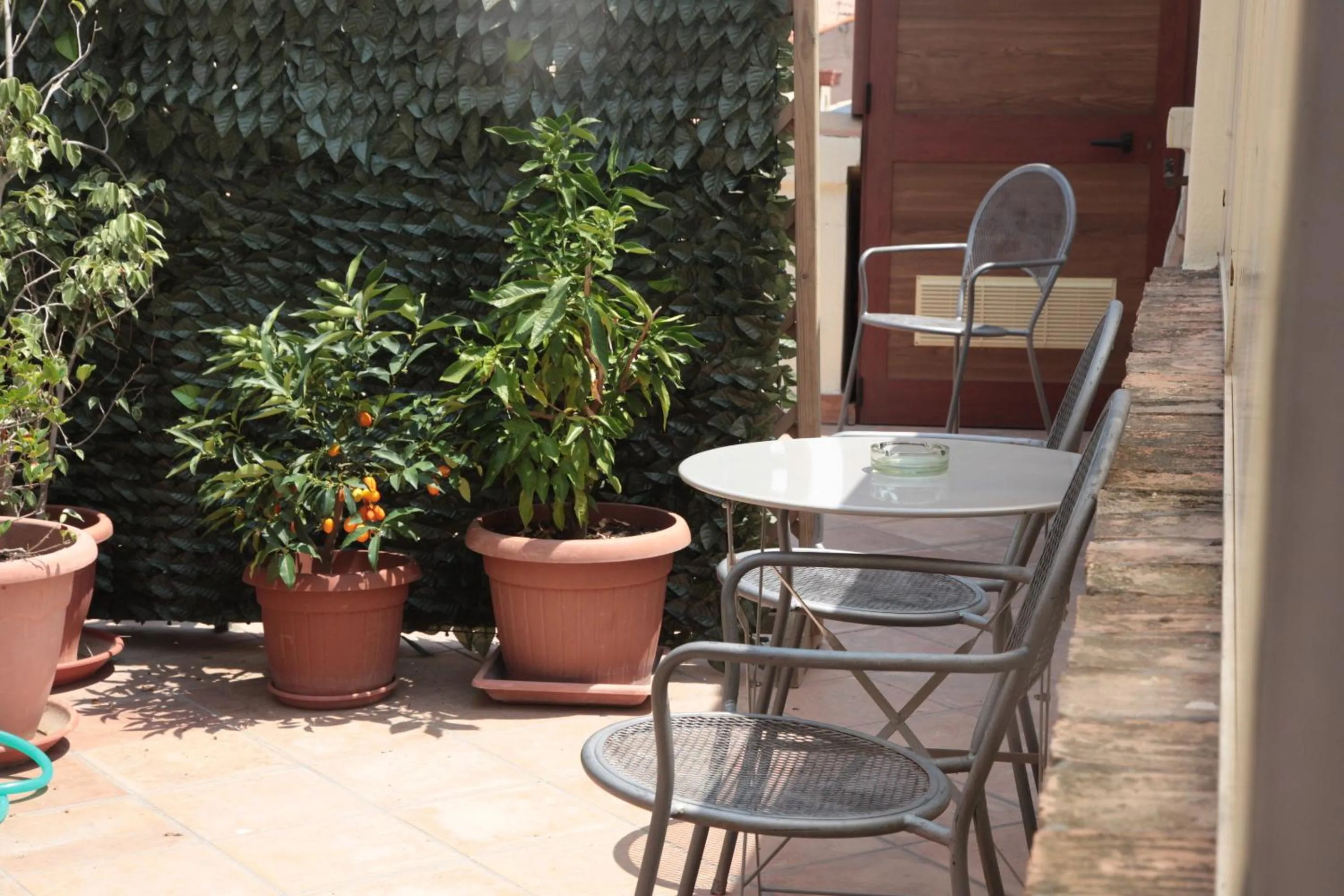 Garden in Donnaciccina Accomodation