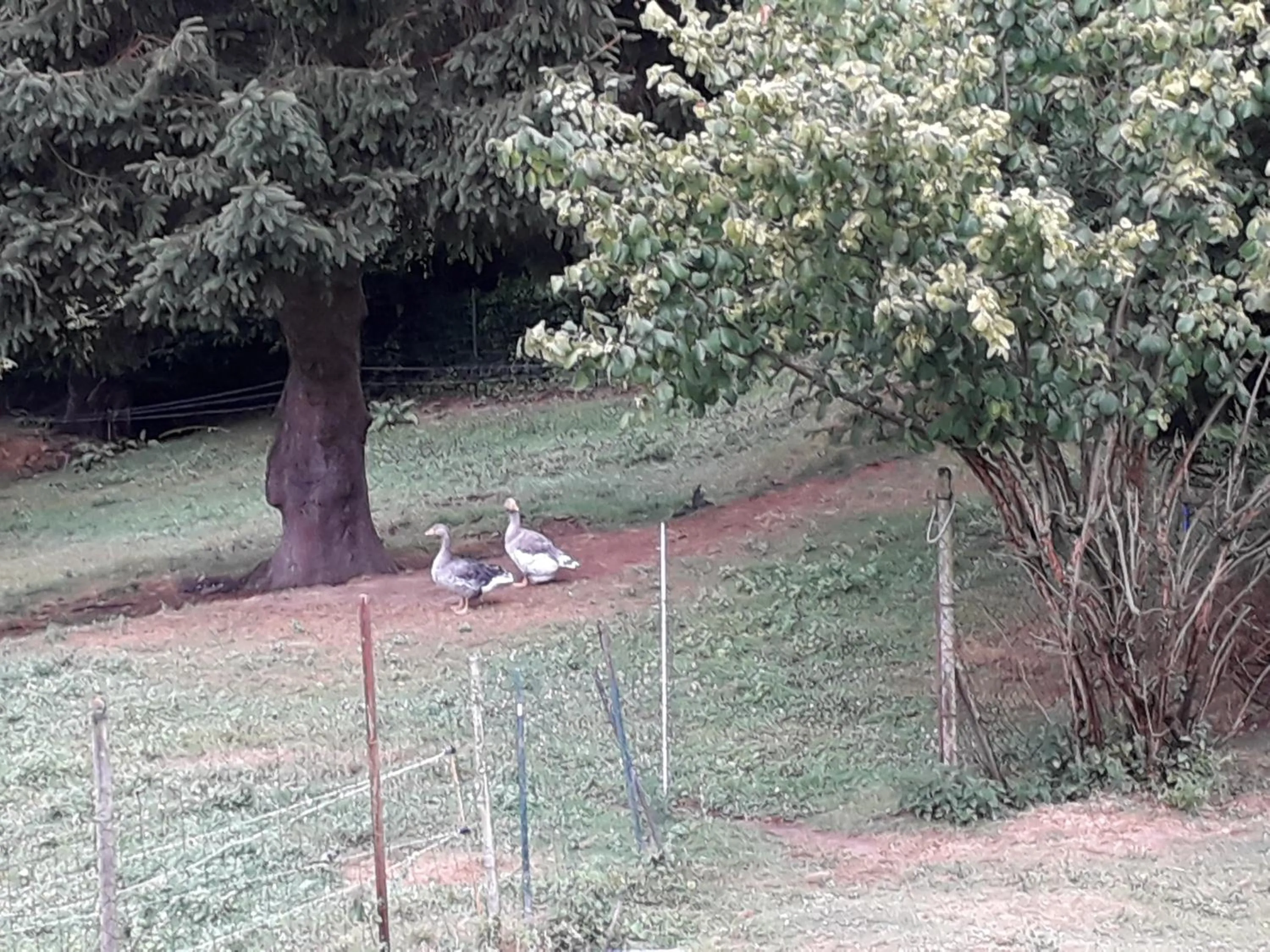Natural landscape in Maison d'hôtes Les Vallées