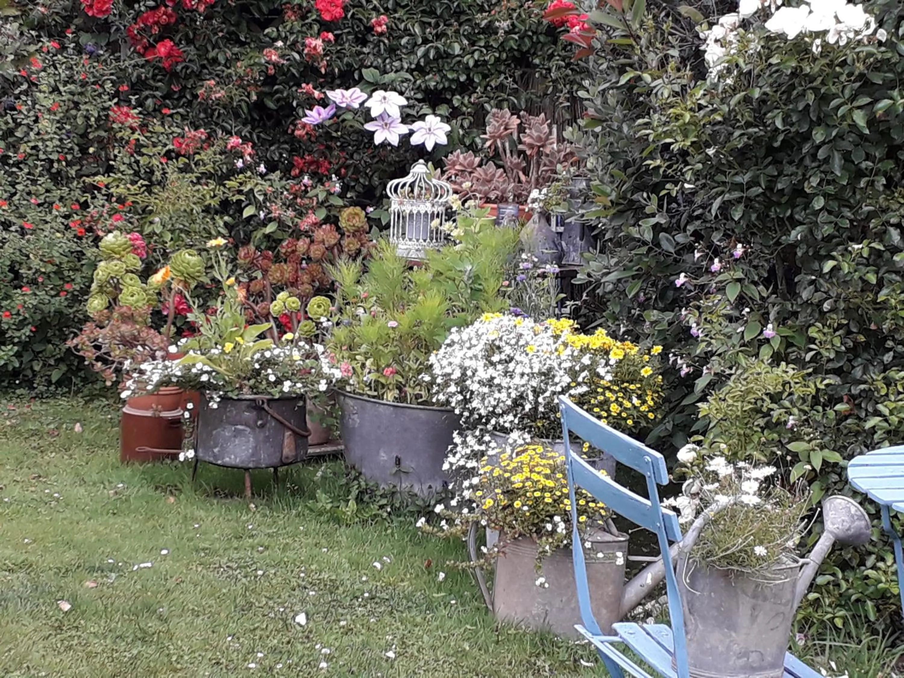 Garden in Maison d'hôtes Les Vallées